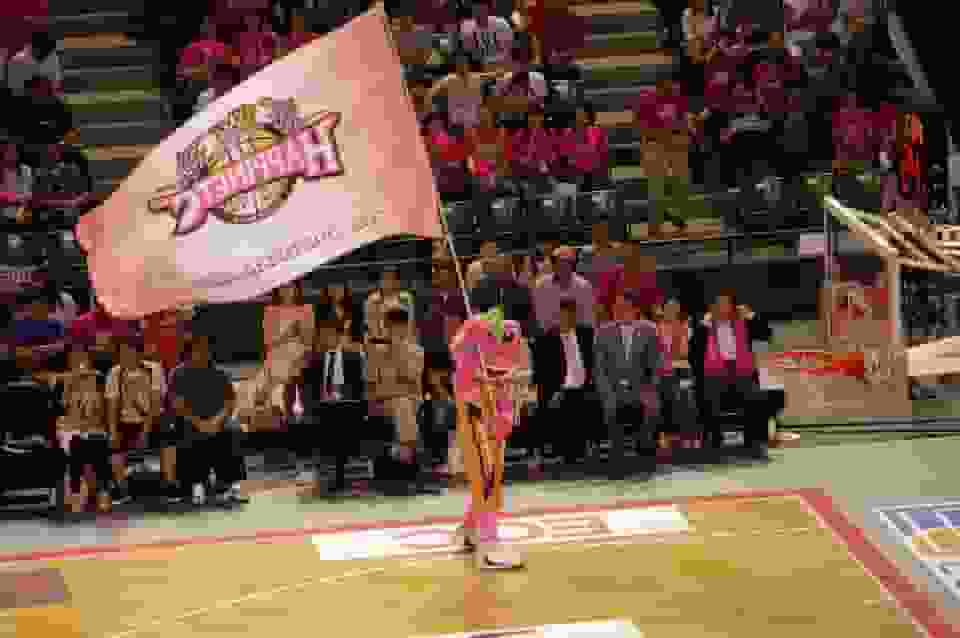 Thumbnail for Akita Northern Happinets