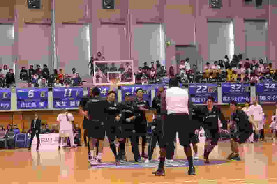 Thumbnail for SeaHorses Mikawa