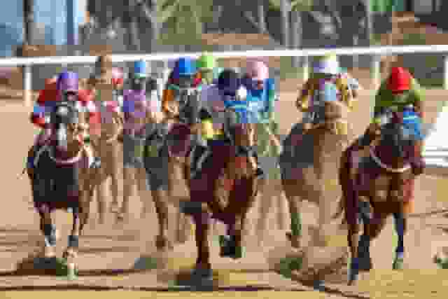 Thumbnail for Belmont Stakes