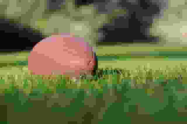 Thumbnail for Philadelphia Eagles at Buffalo Bills (Date TBD)