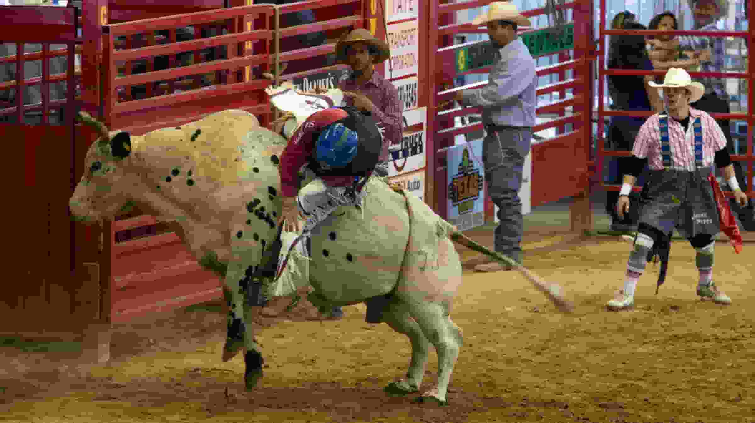 Thumbnail for PBR - Professional Bull Riders