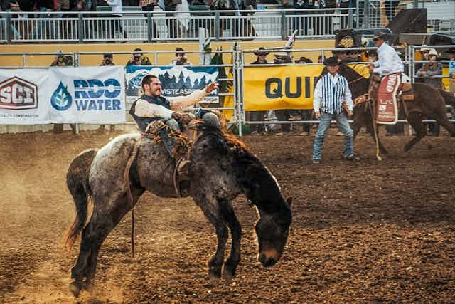 Thumbnail for Mesquite Championship Rodeo