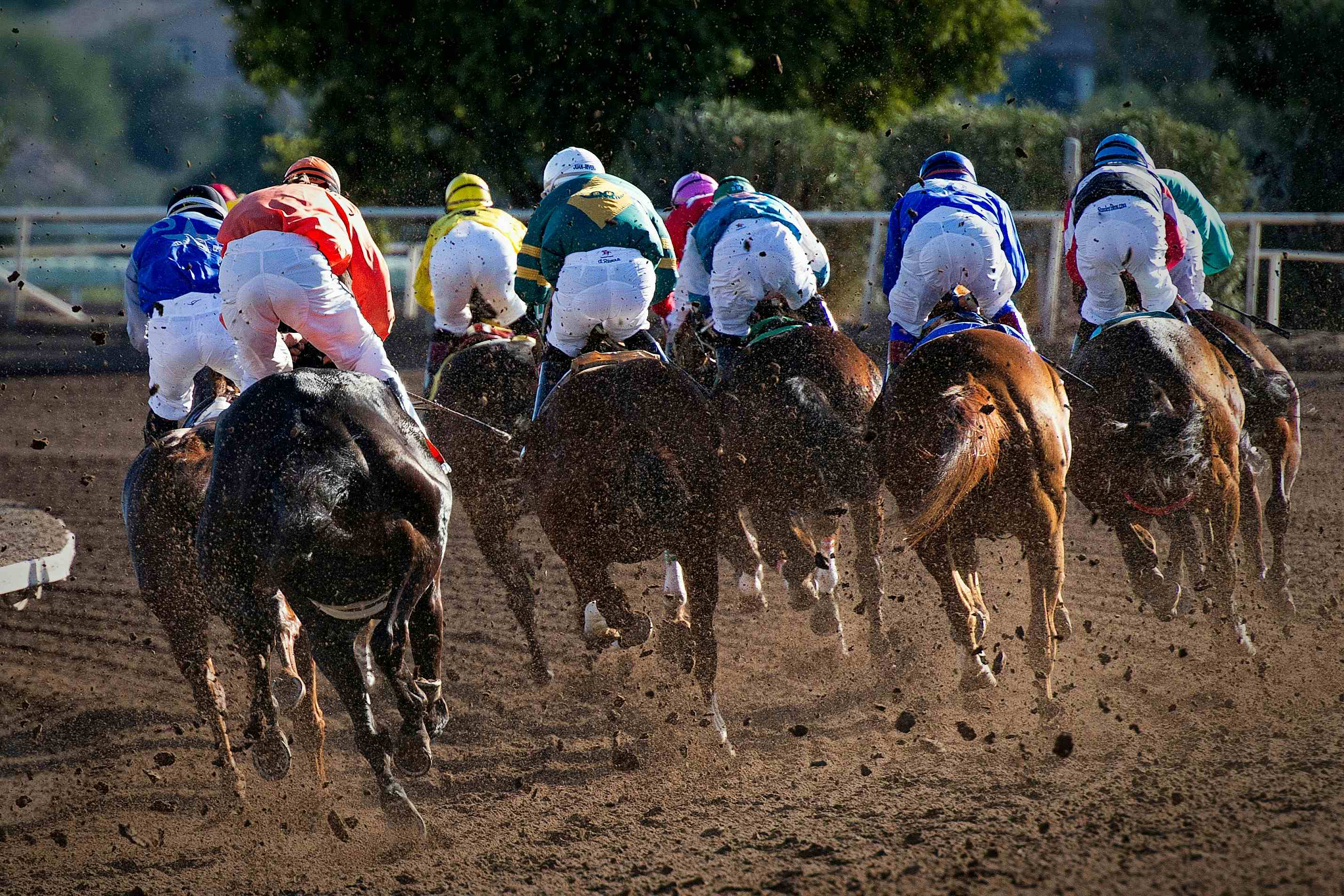 Thumbnail for Pendleton Round Up