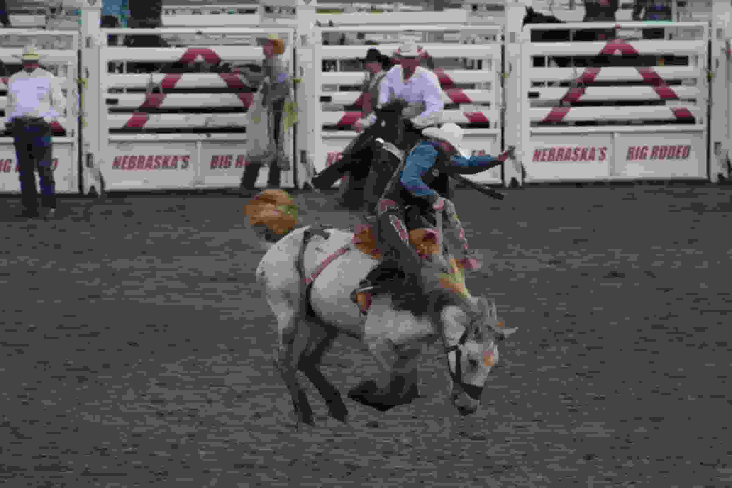 Thumbnail for Reno Rodeo