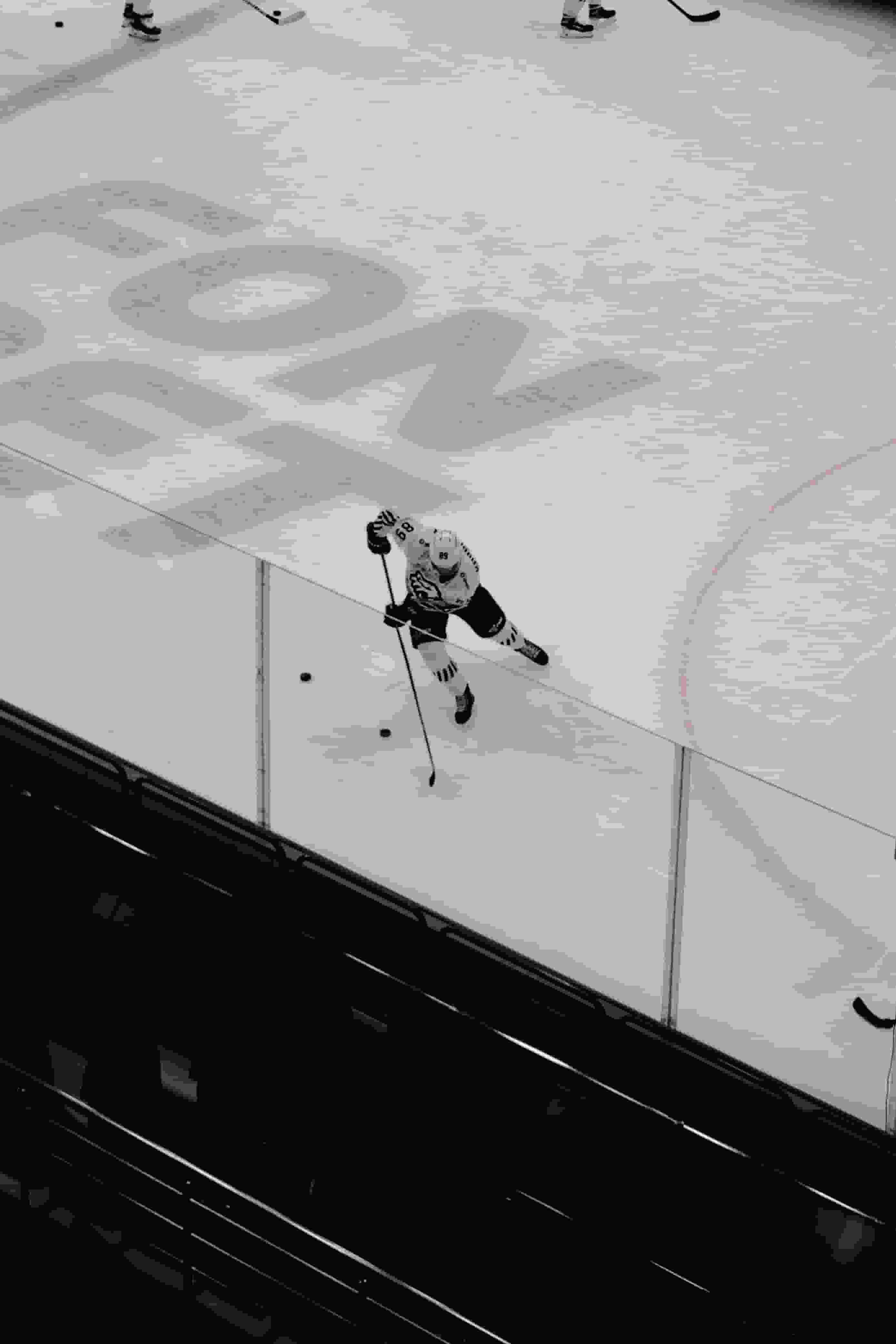 Thumbnail for San Jose Sharks