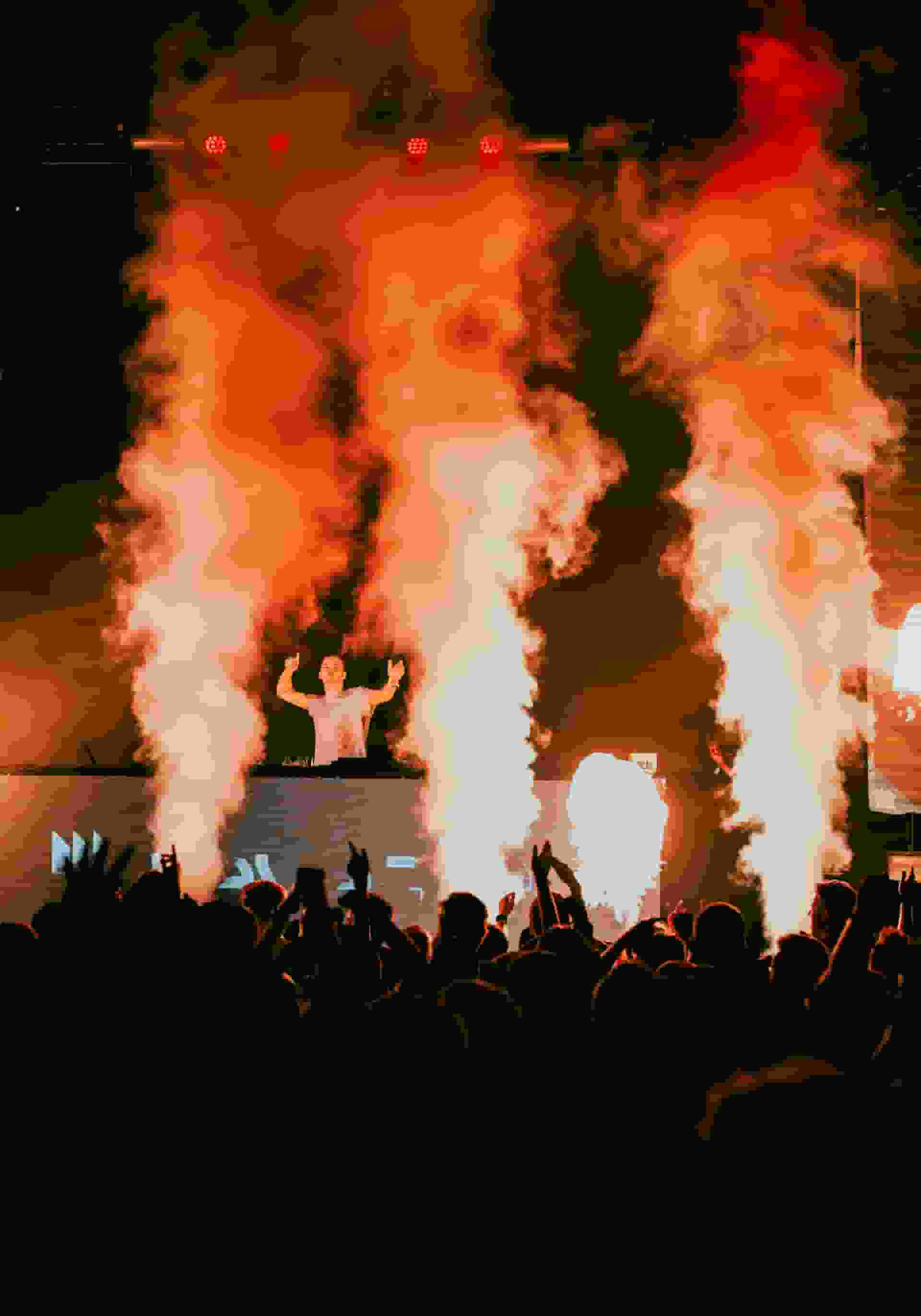 Thumbnail for Zedd in the Park