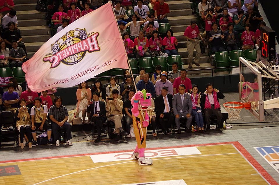 Thumbnail for Akita Northern Happinets