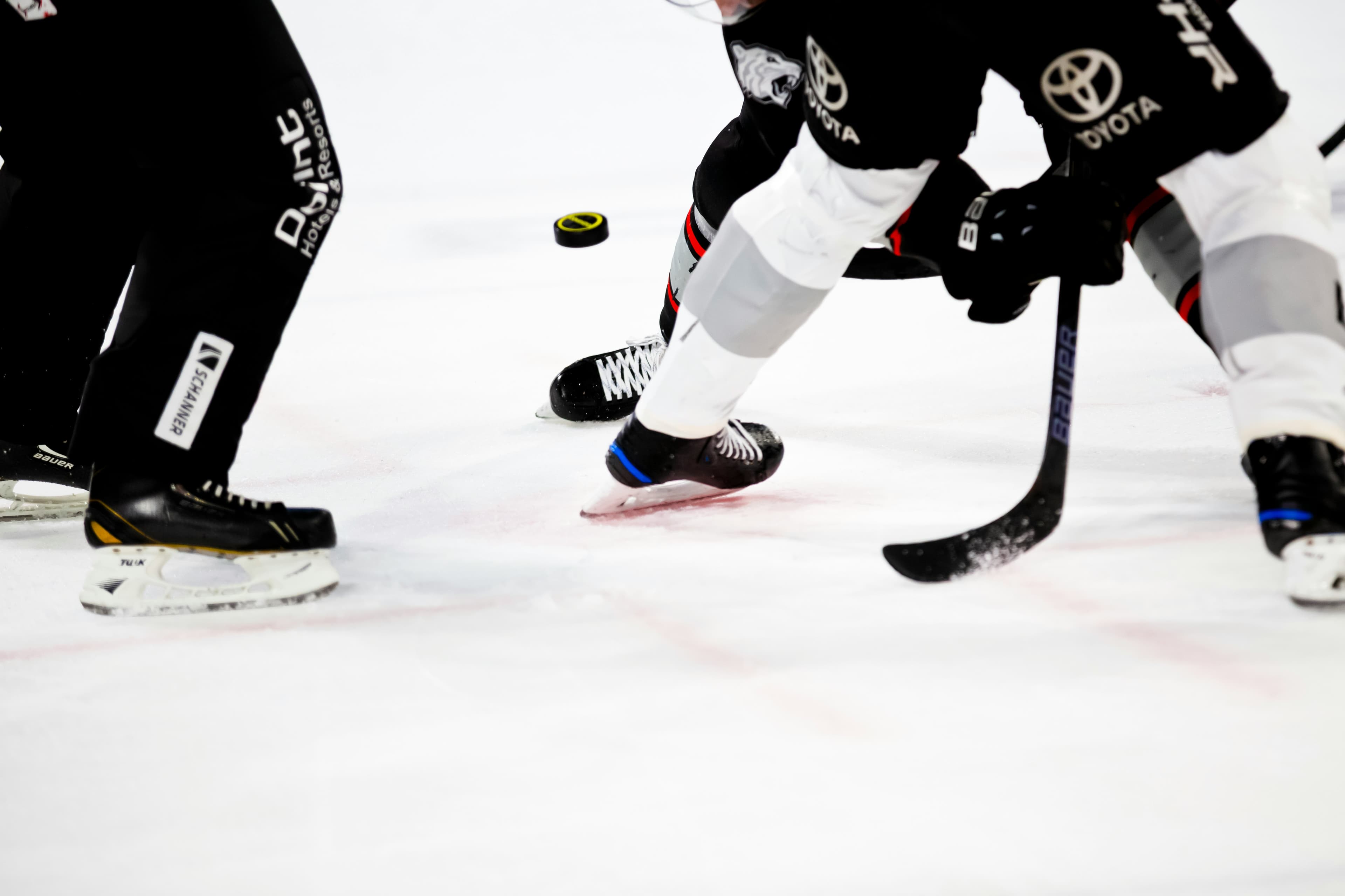Thumbnail for NHL Preseason - New Jersey Devils at Ottawa Senators