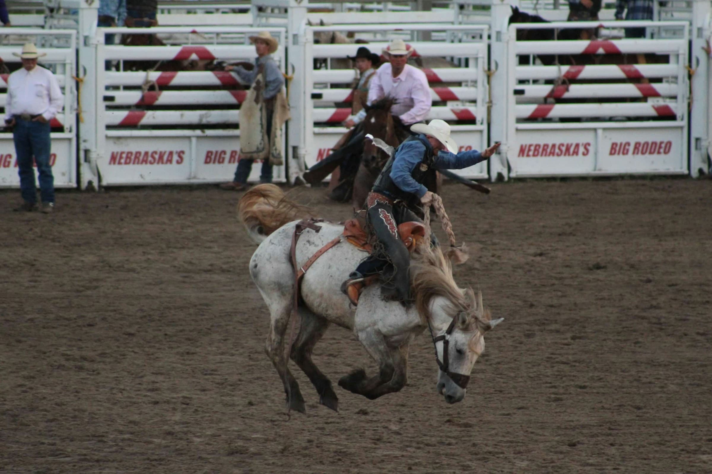 Thumbnail for Reno Rodeo