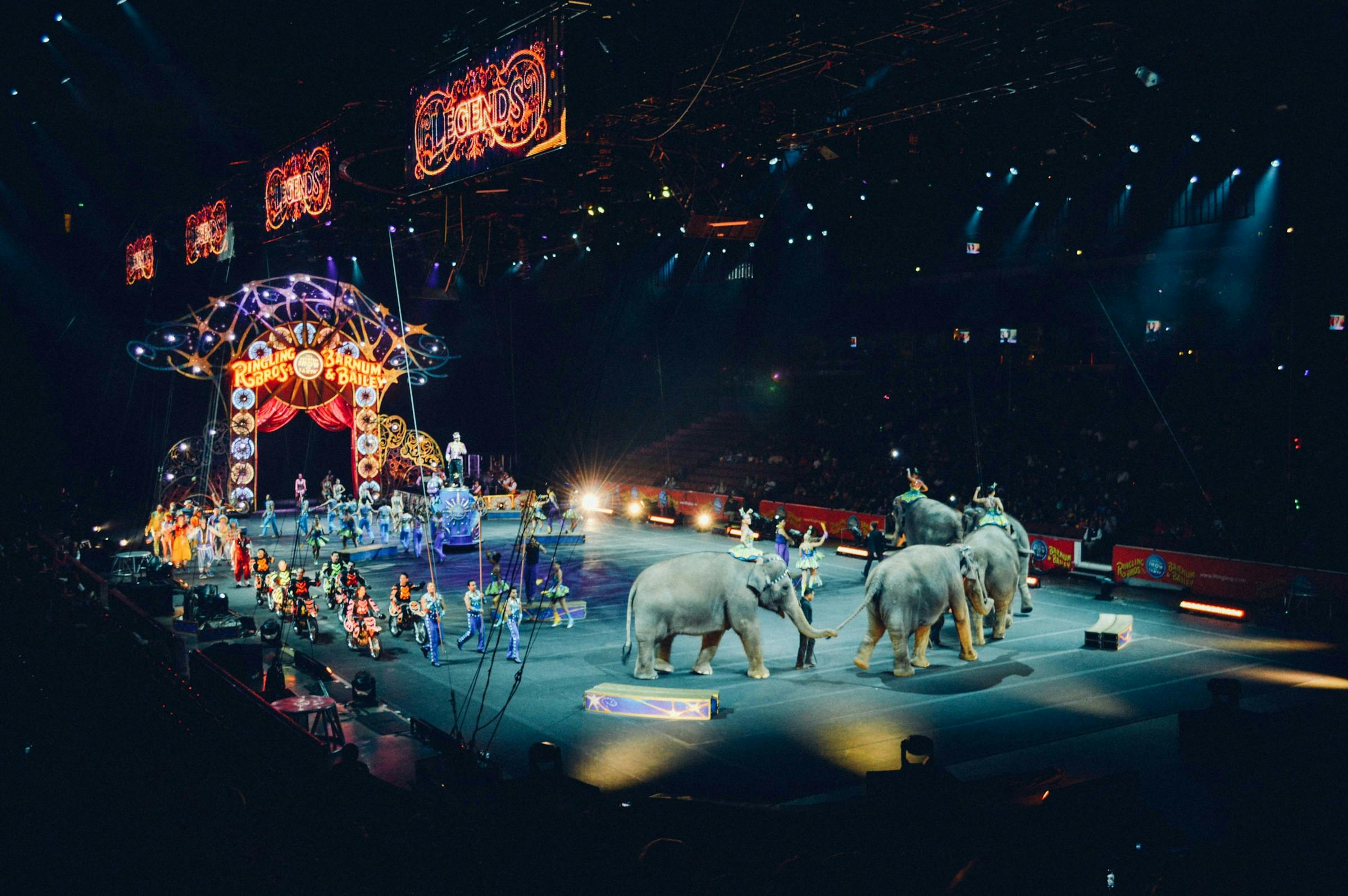 Thumbnail for Ringling Bros. and Barnum & Bailey Circus - St Louis
