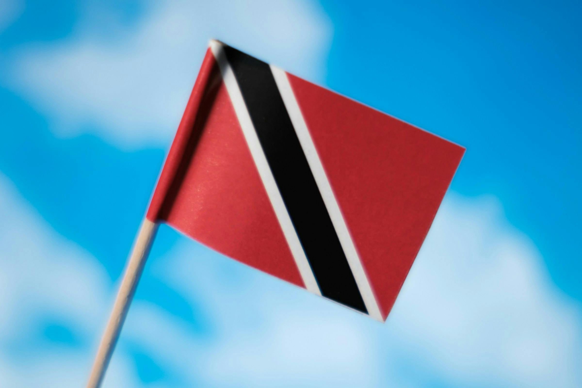 Thumbnail for Trinidad and Tobago National Soccer Team