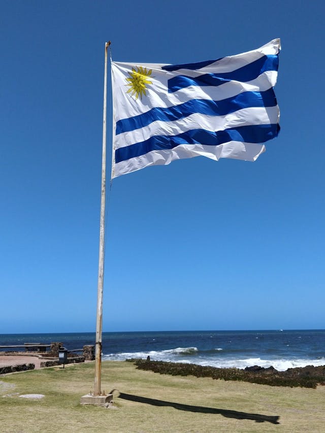 Thumbnail for Uruguay National Soccer Team
