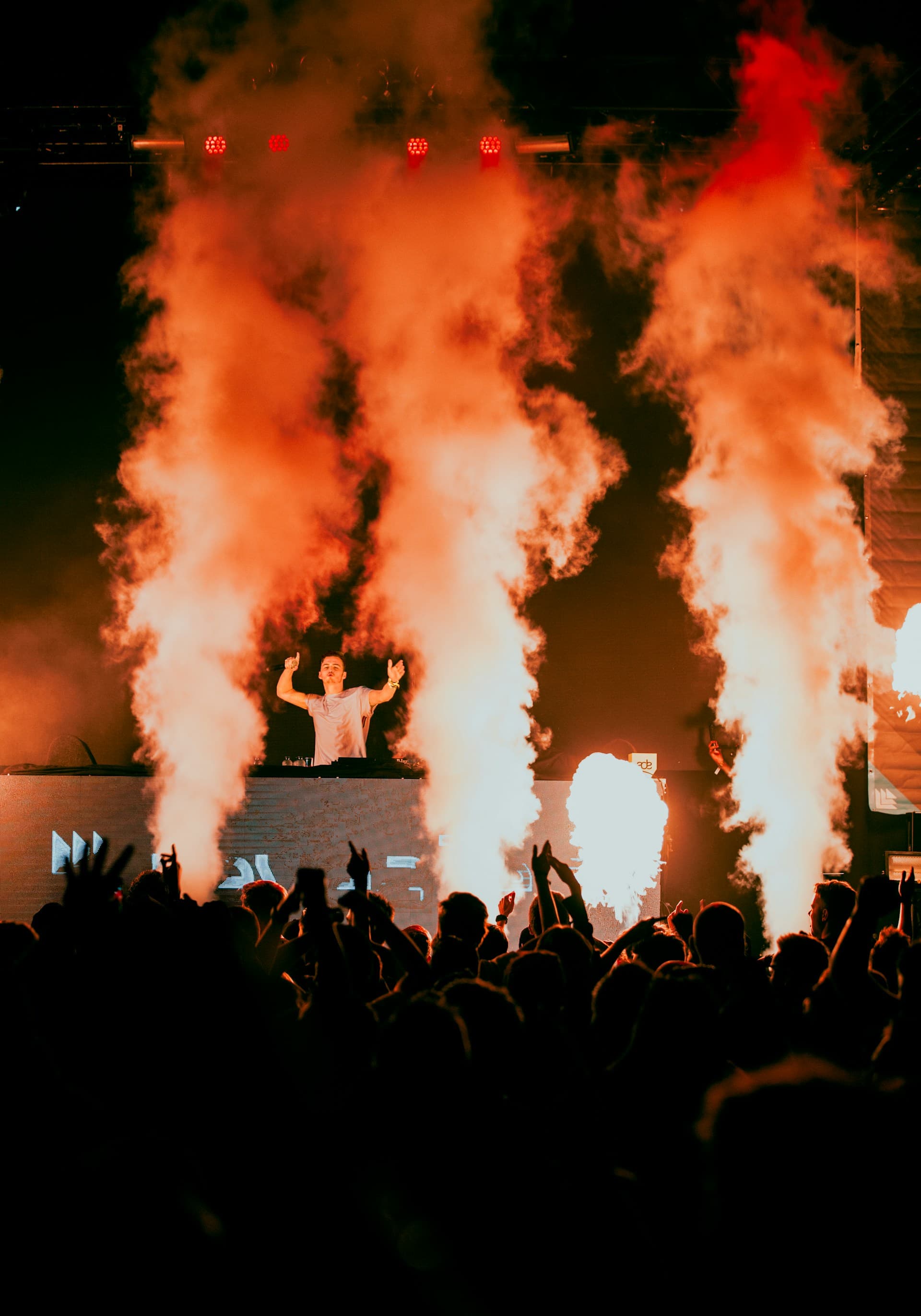 Thumbnail for Zedd in the Park