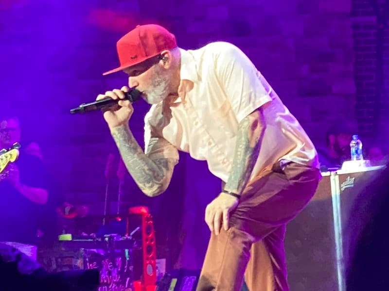 Thumbnail for Limp Bizkit