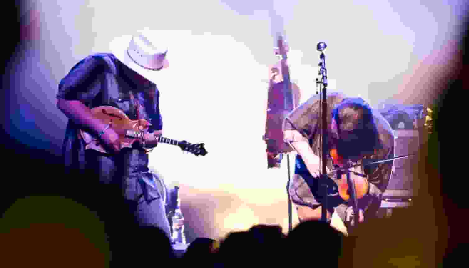 Thumbnail for Trampled By Turtles