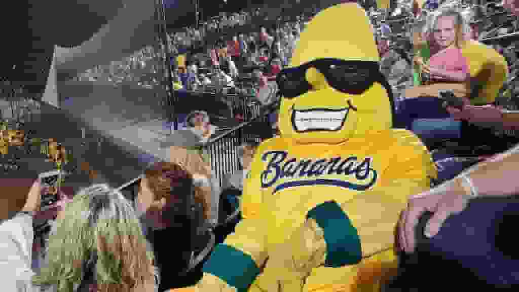 Thumbnail for Savannah Bananas