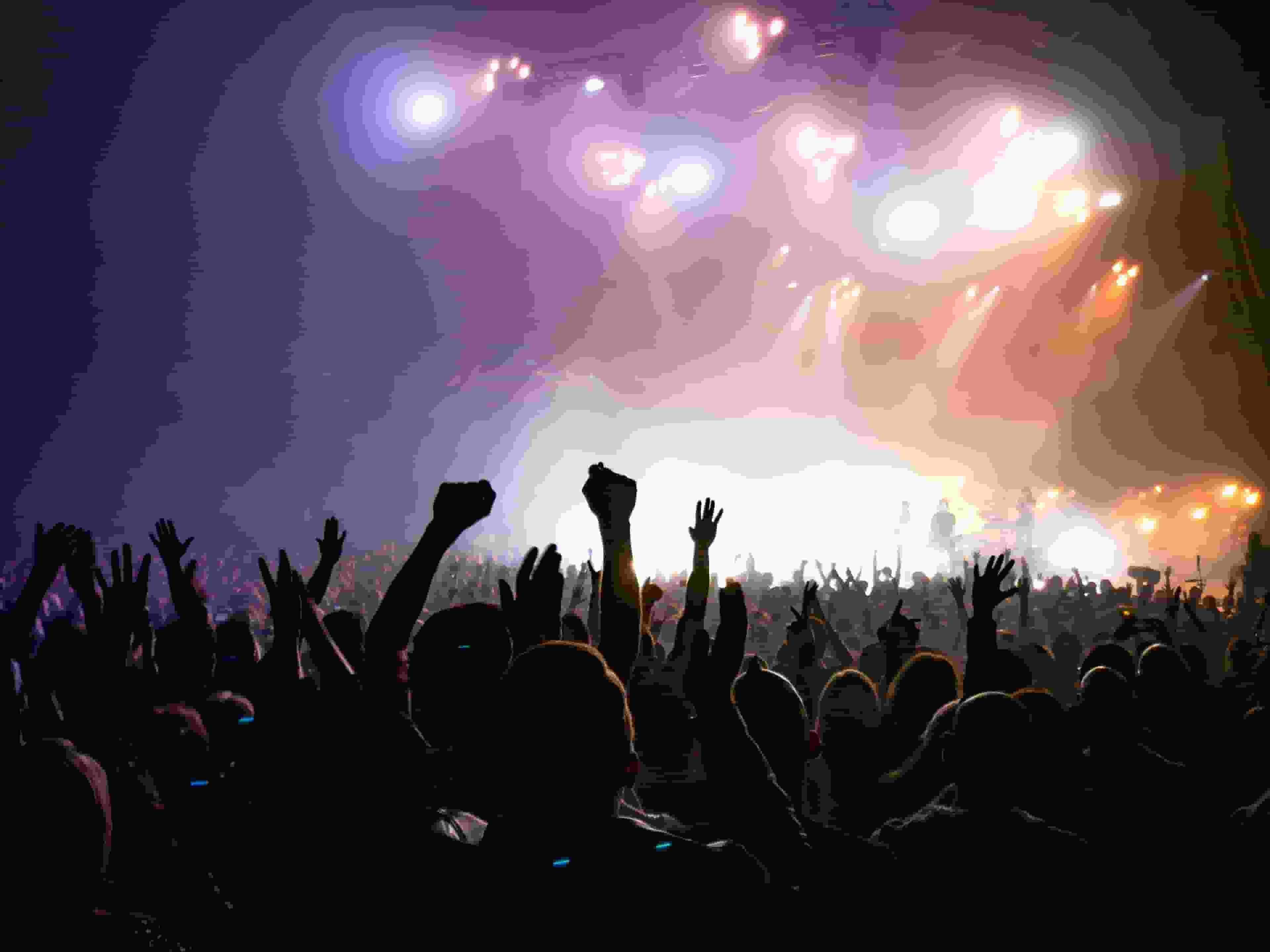 Thumbnail for Plain White Ts