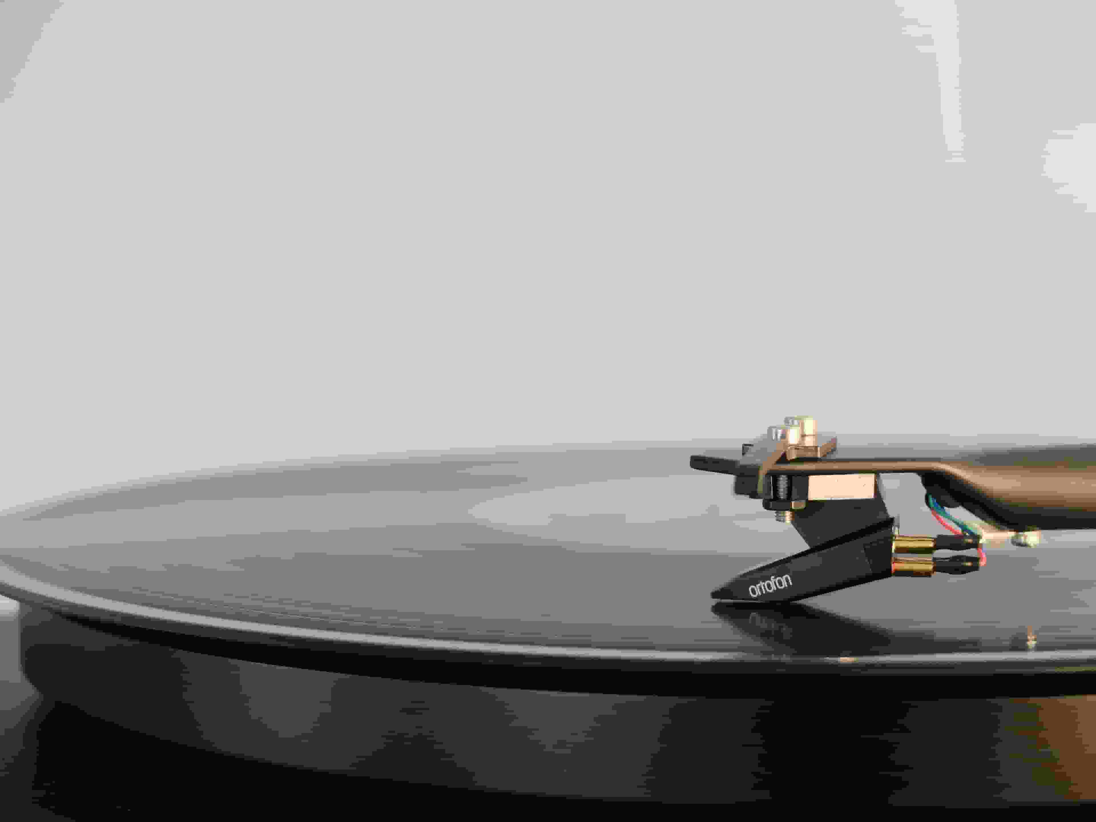 Thumbnail for Bonnie Raitt