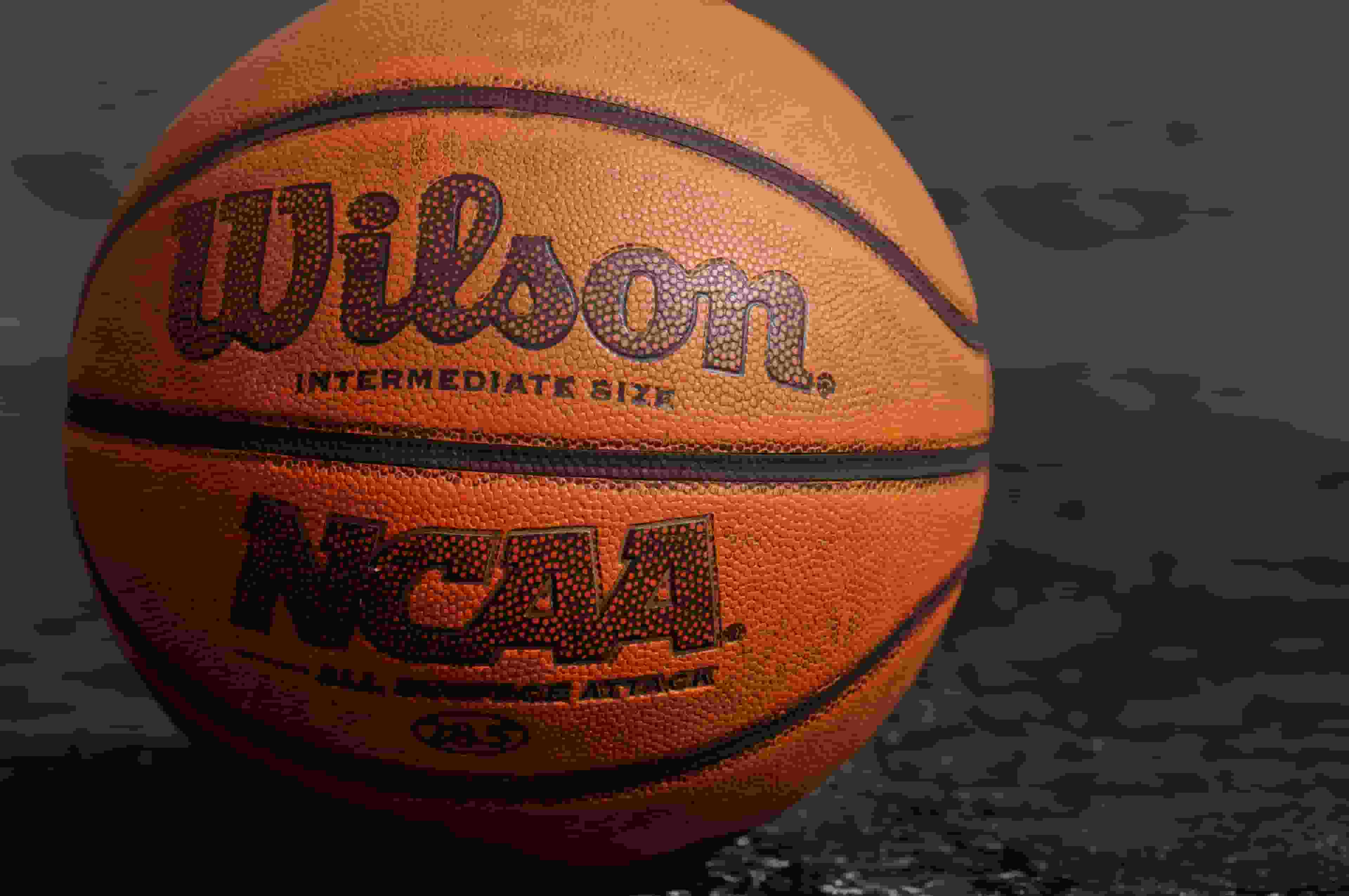 Thumbnail for Hofstra Pride Basketball