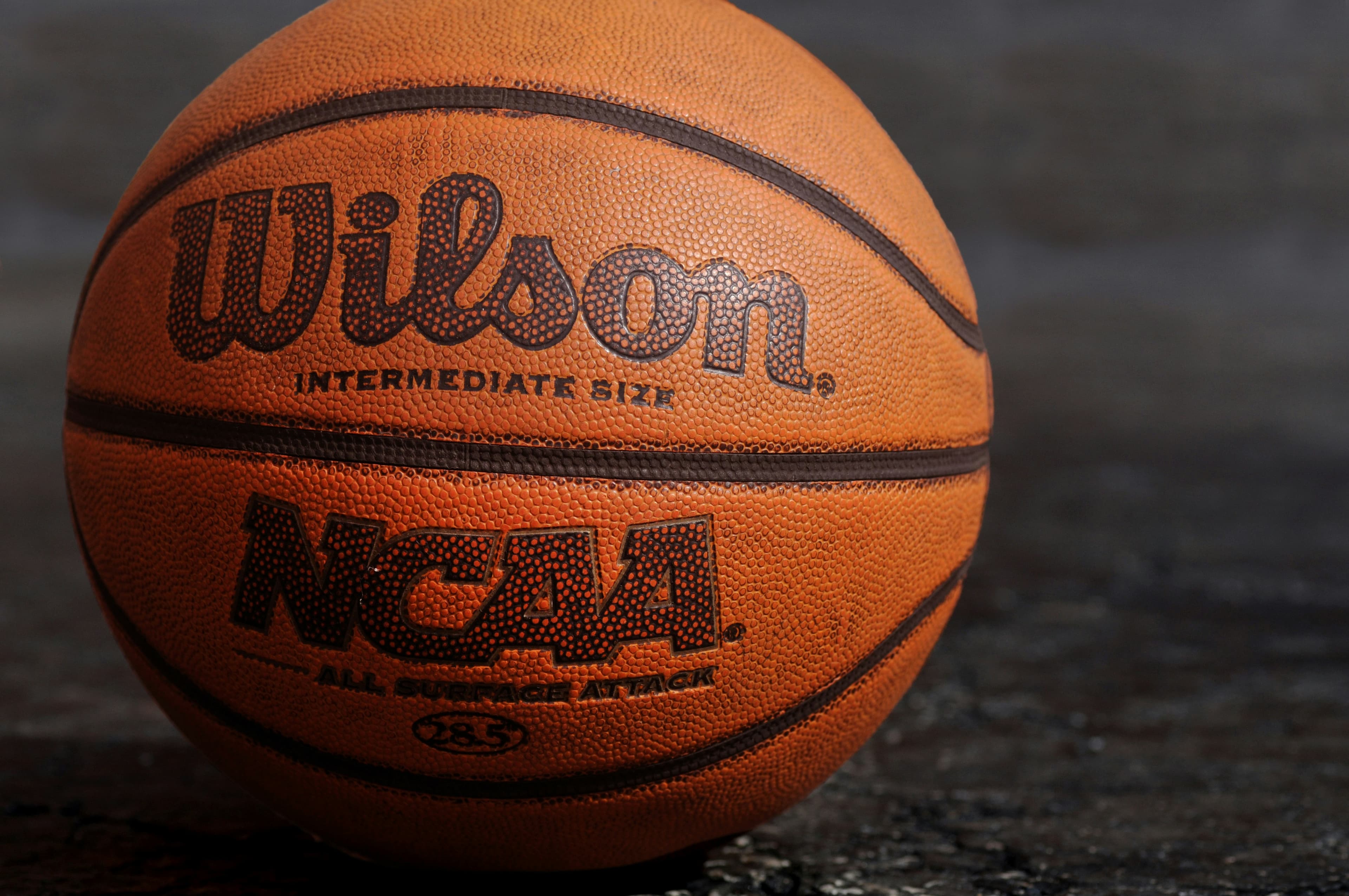 Thumbnail for Hofstra Pride Basketball