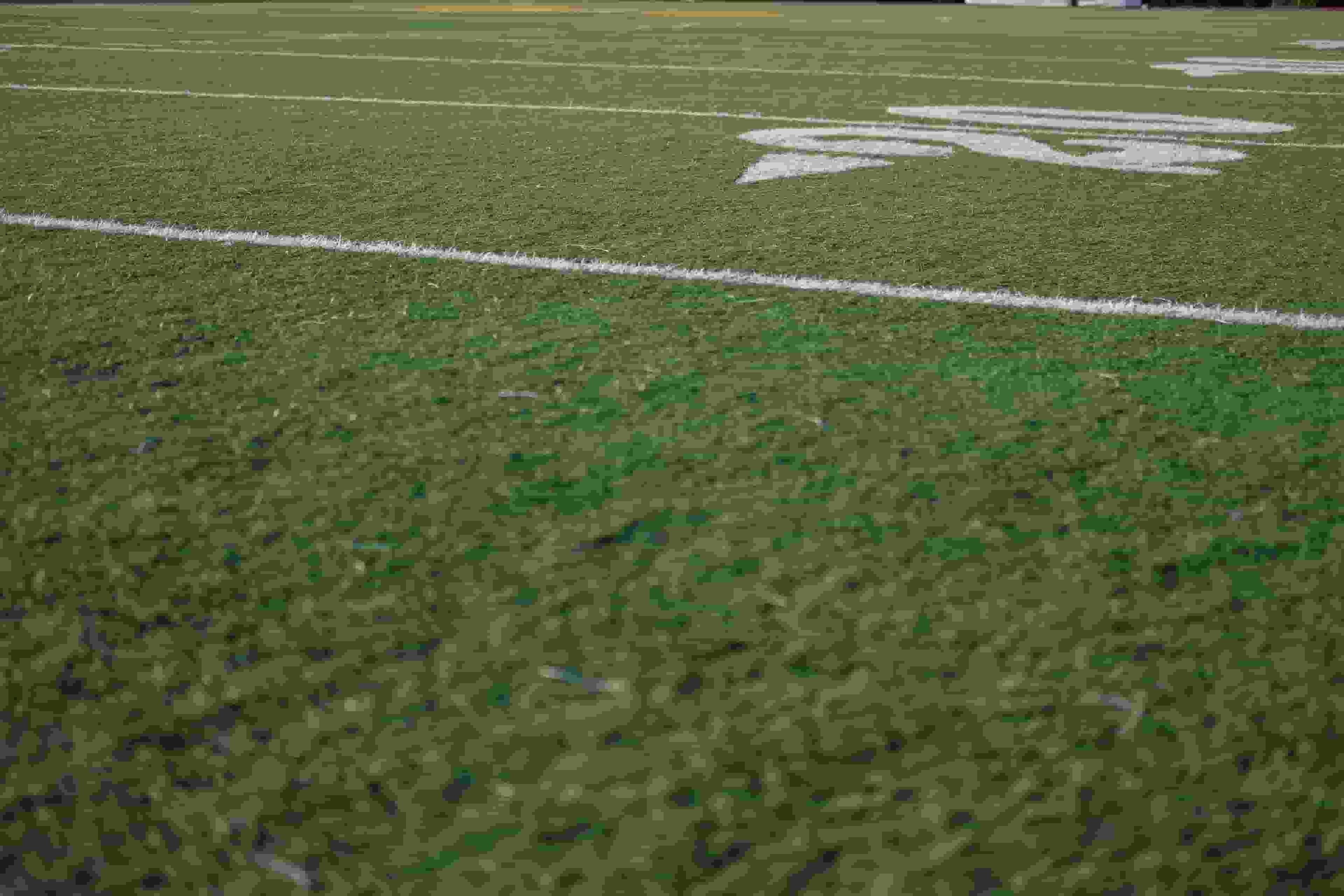 Thumbnail for Kent State Golden Flashes Football