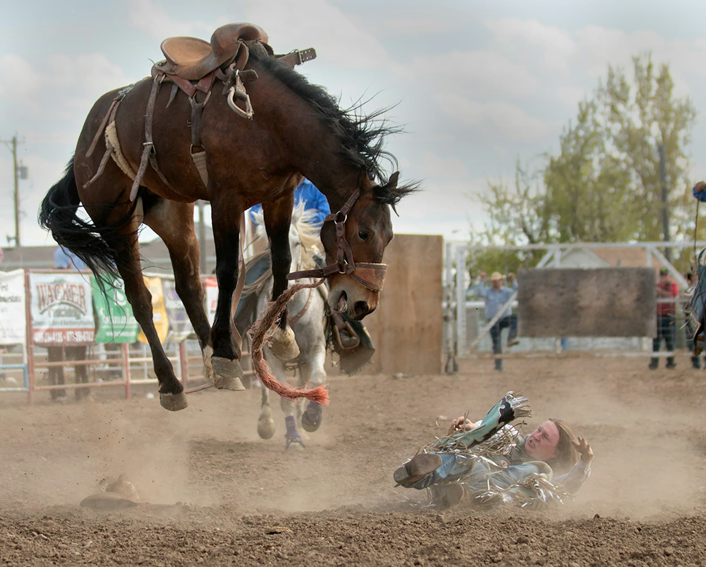 Thumbnail for Cheyenne Frontier Days Rodeo
