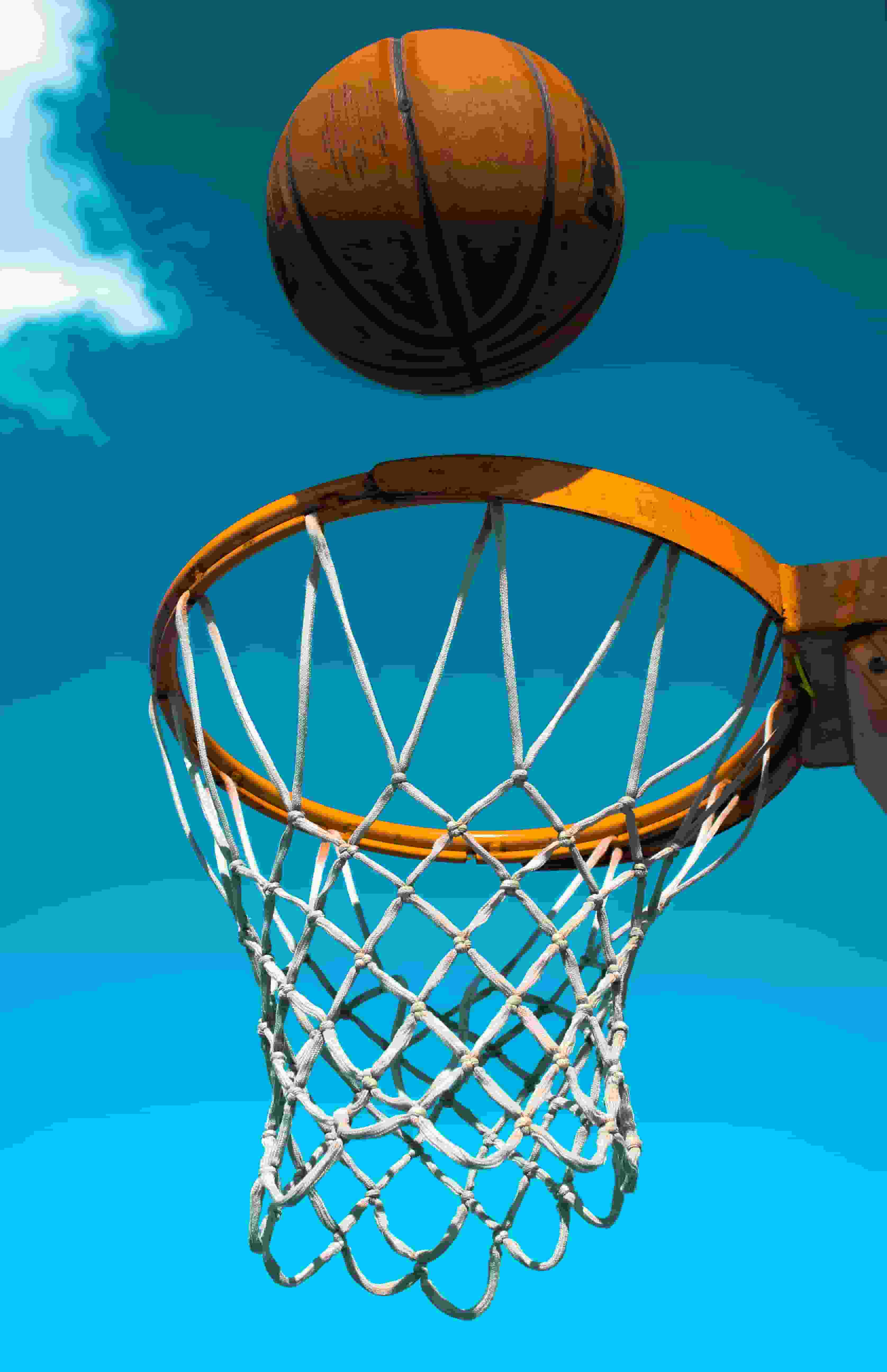 Thumbnail for Elon Phoenix Basketball