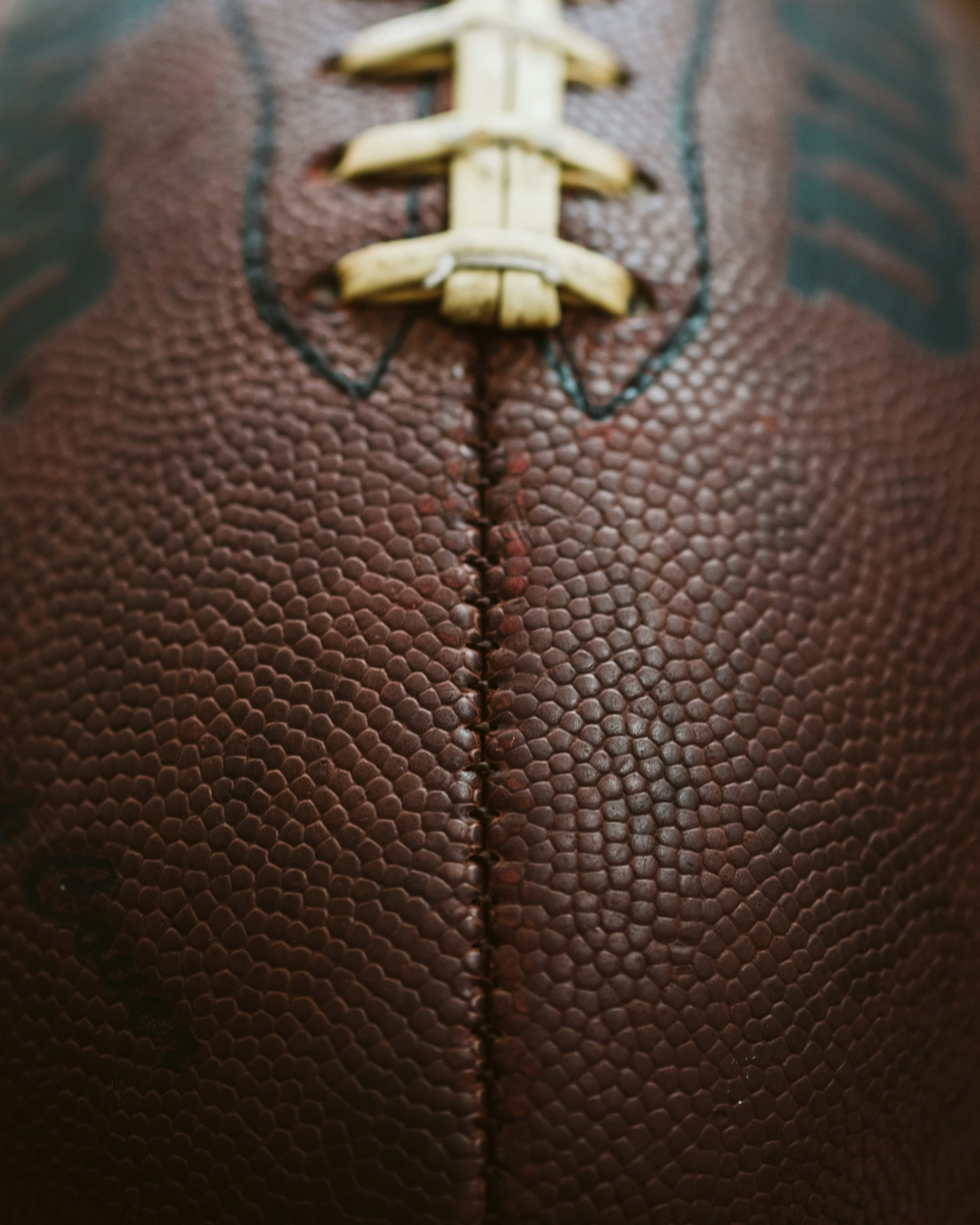 Thumbnail for North Dakota Fighting Hawks Football