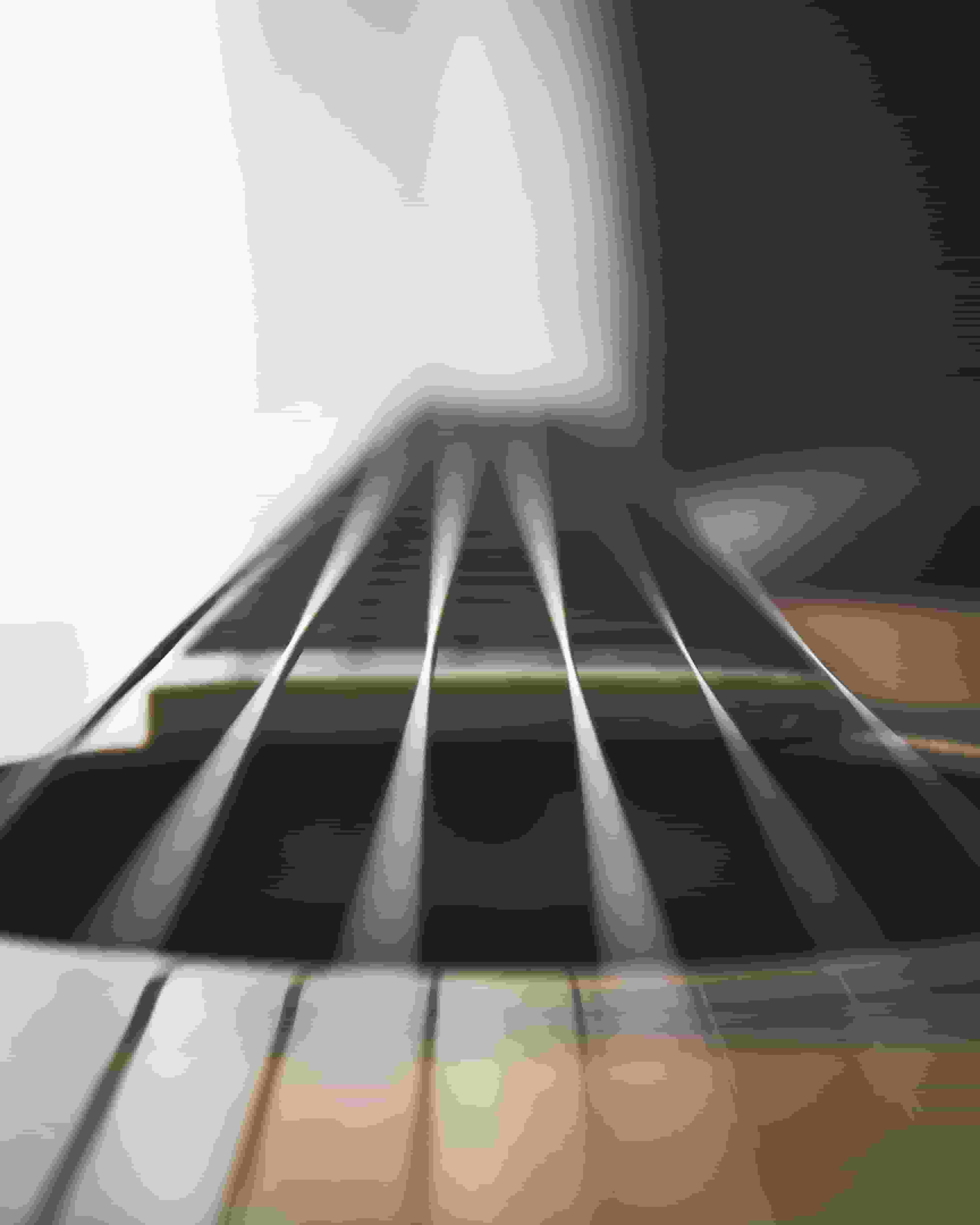 Thumbnail for Muscadine Bloodline