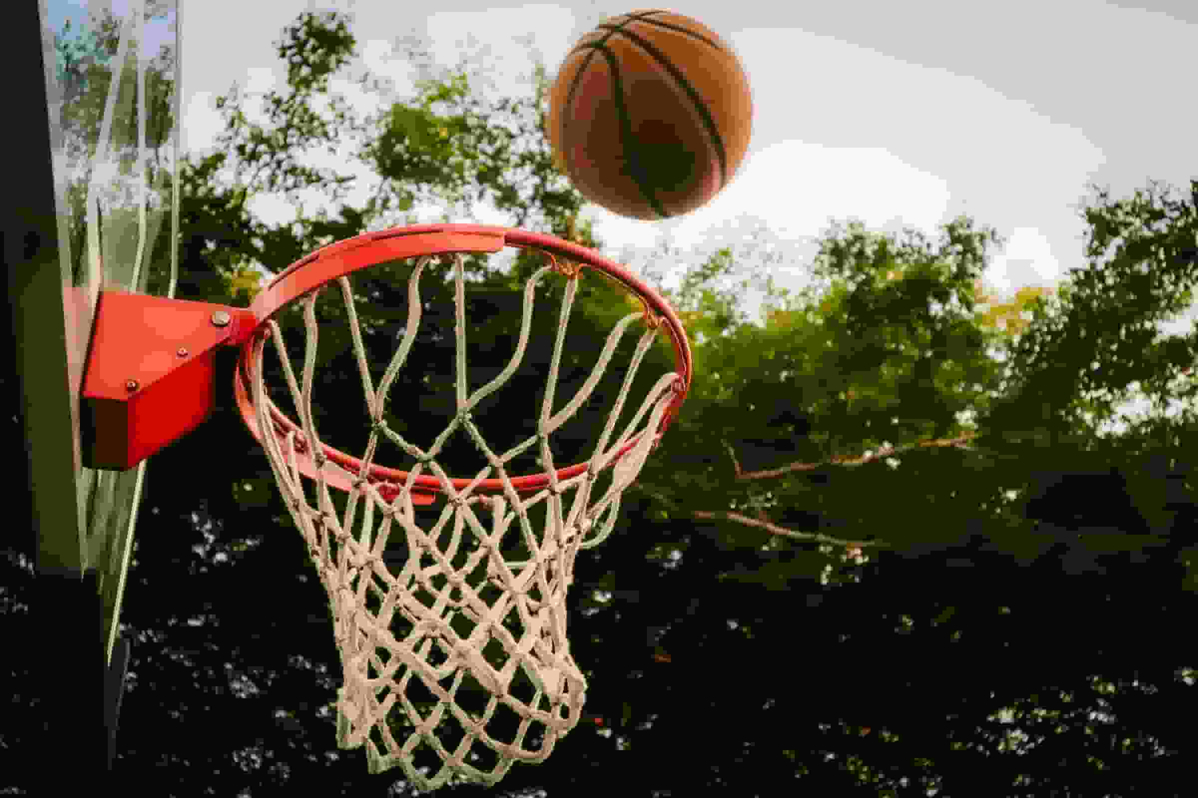 Thumbnail for Florida Atlantic Owls Basketball