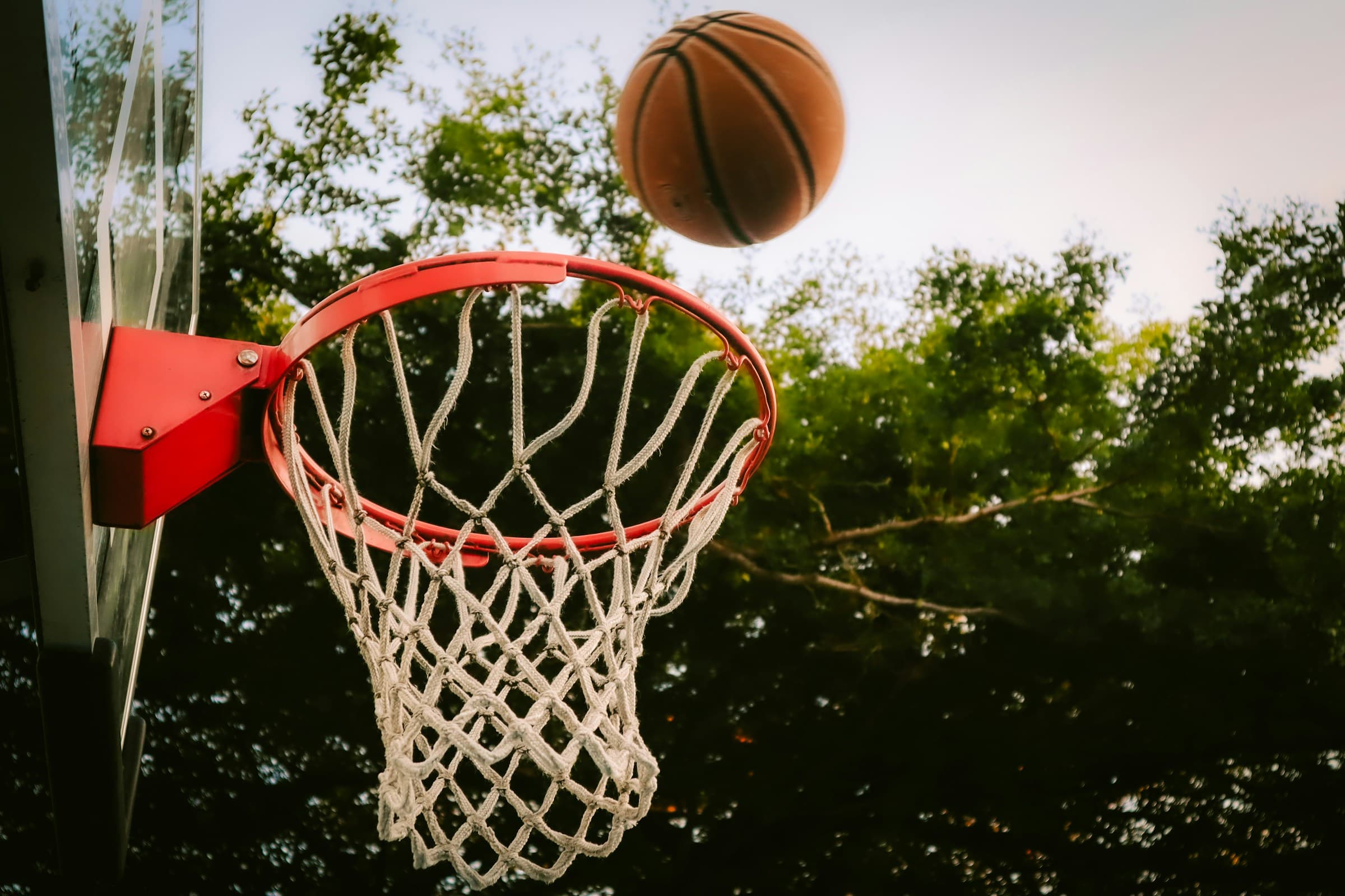 Thumbnail for Florida Atlantic Owls Basketball