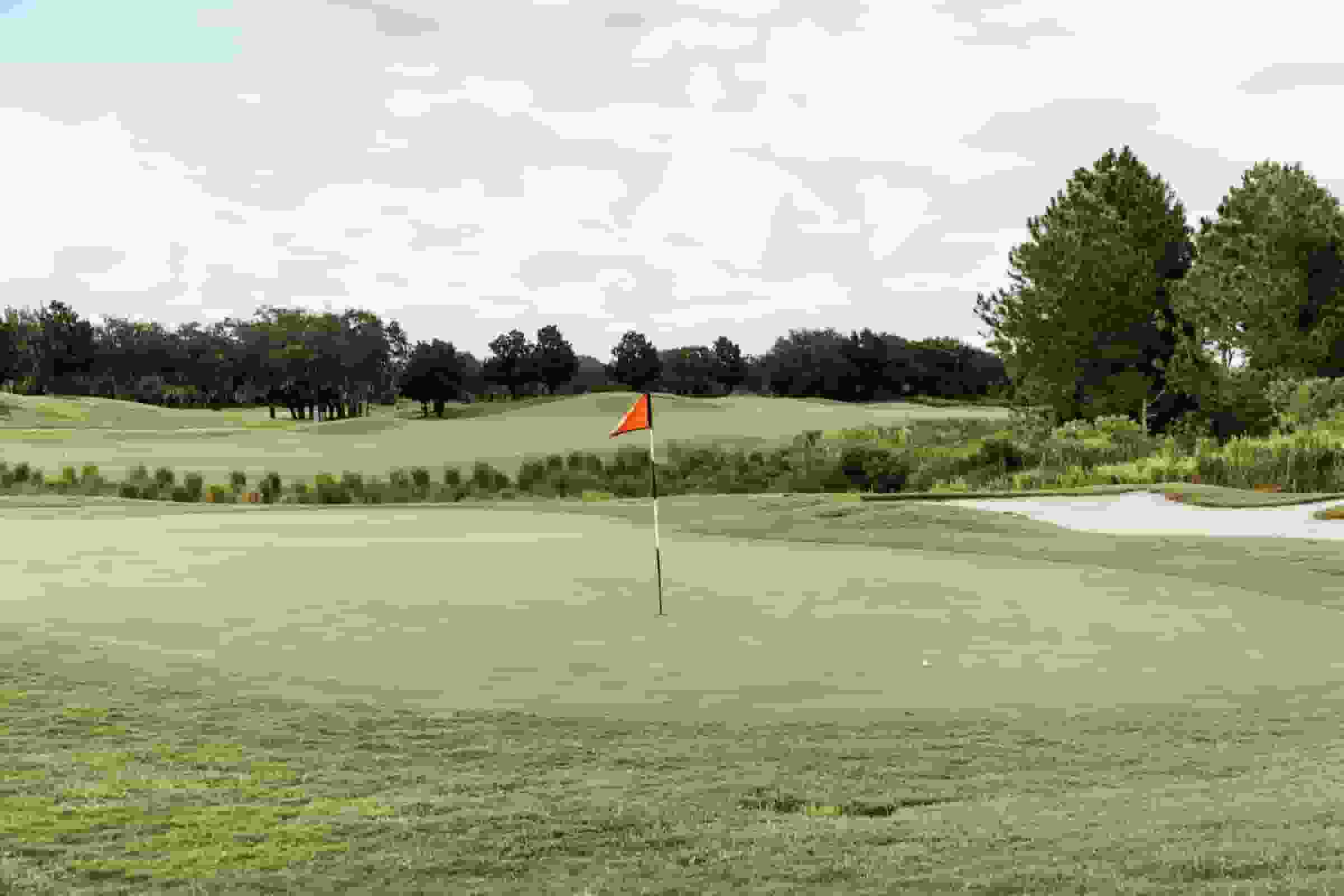 Thumbnail for Ford Championship