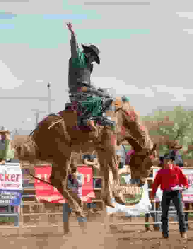 Thumbnail for Fort Worth Stock Show and Rodeo