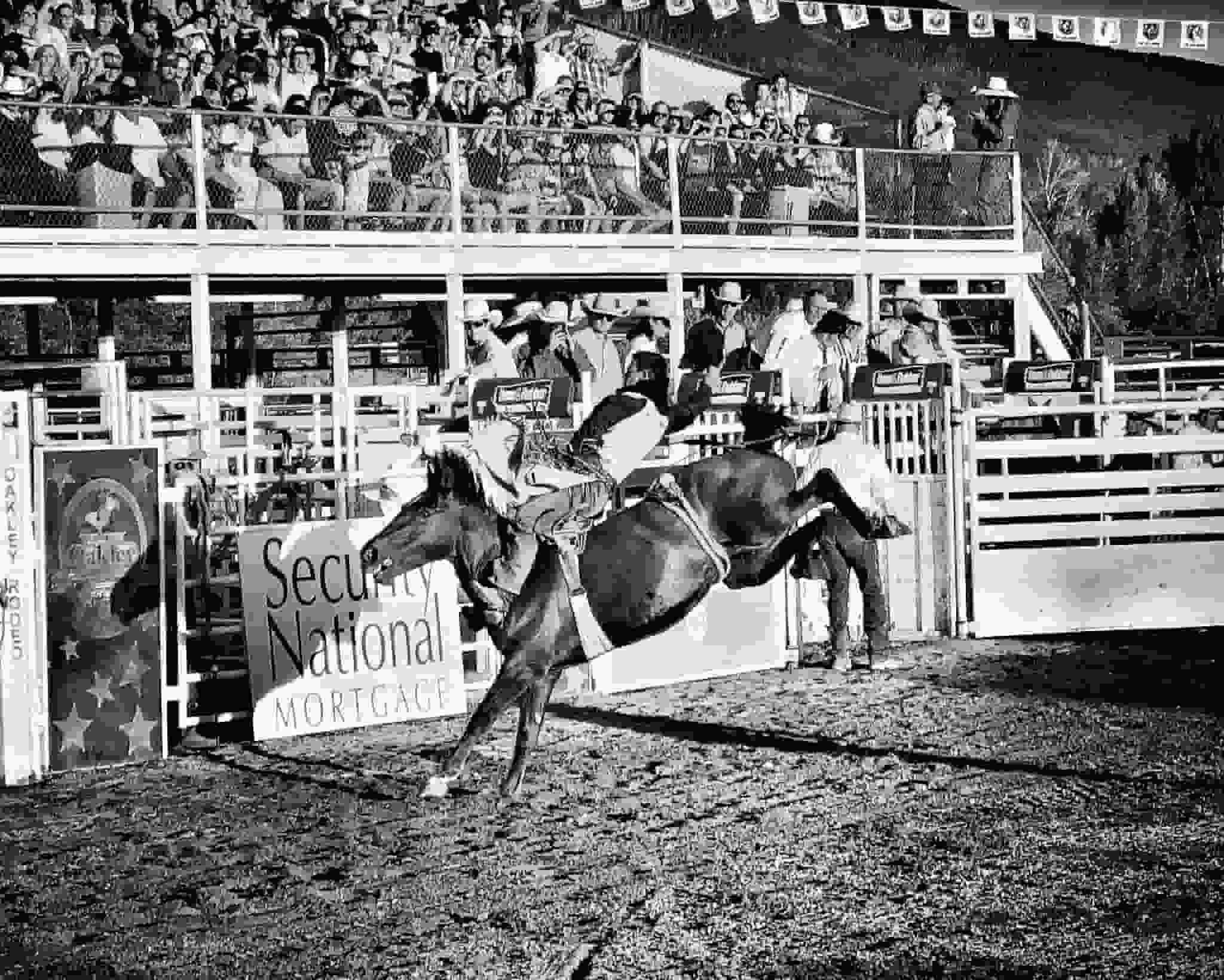 Thumbnail for PRCA Rodeo