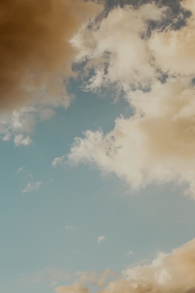 Thumbnail for Maisie Peters