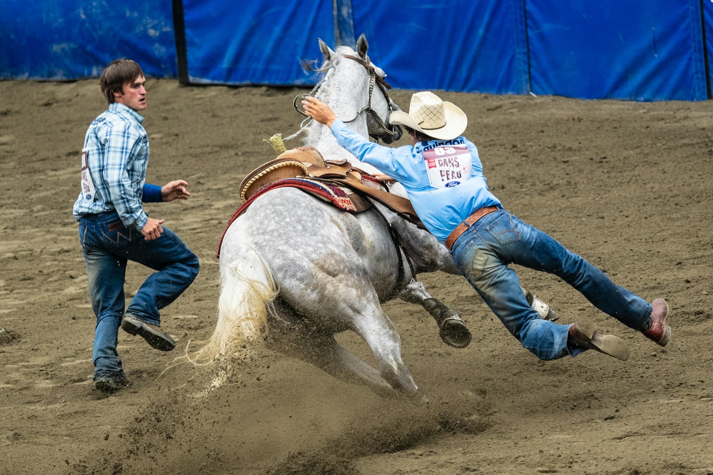 Thumbnail for Houston Livestock Show and Rodeo