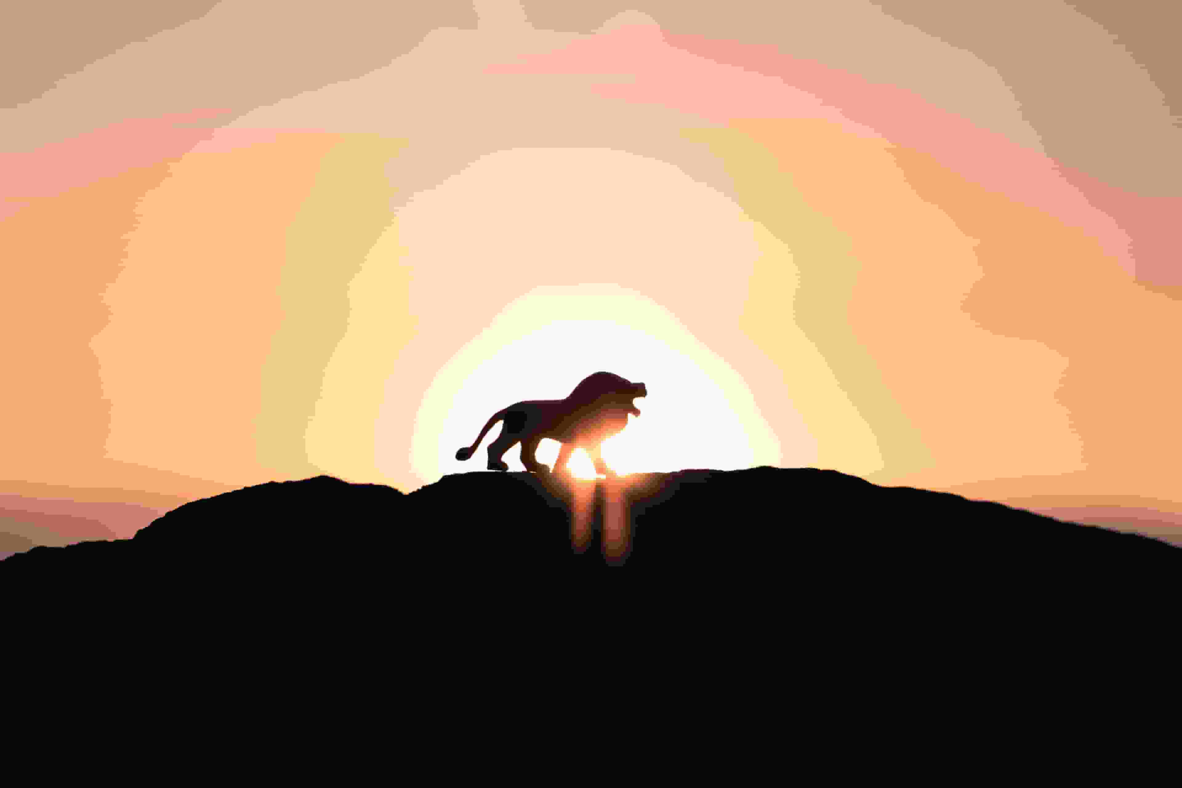 Thumbnail for The Lion King