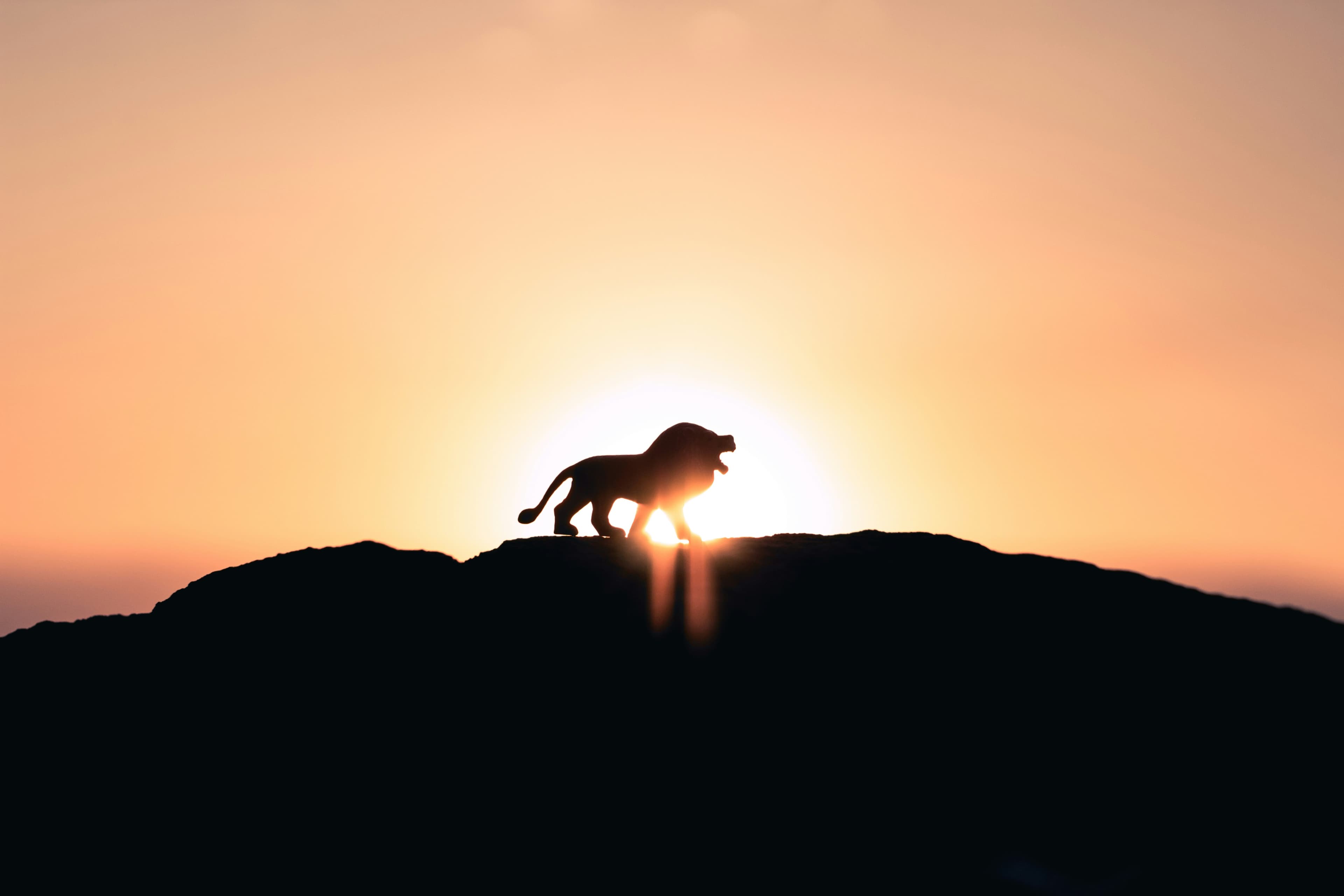 Thumbnail for The Lion King