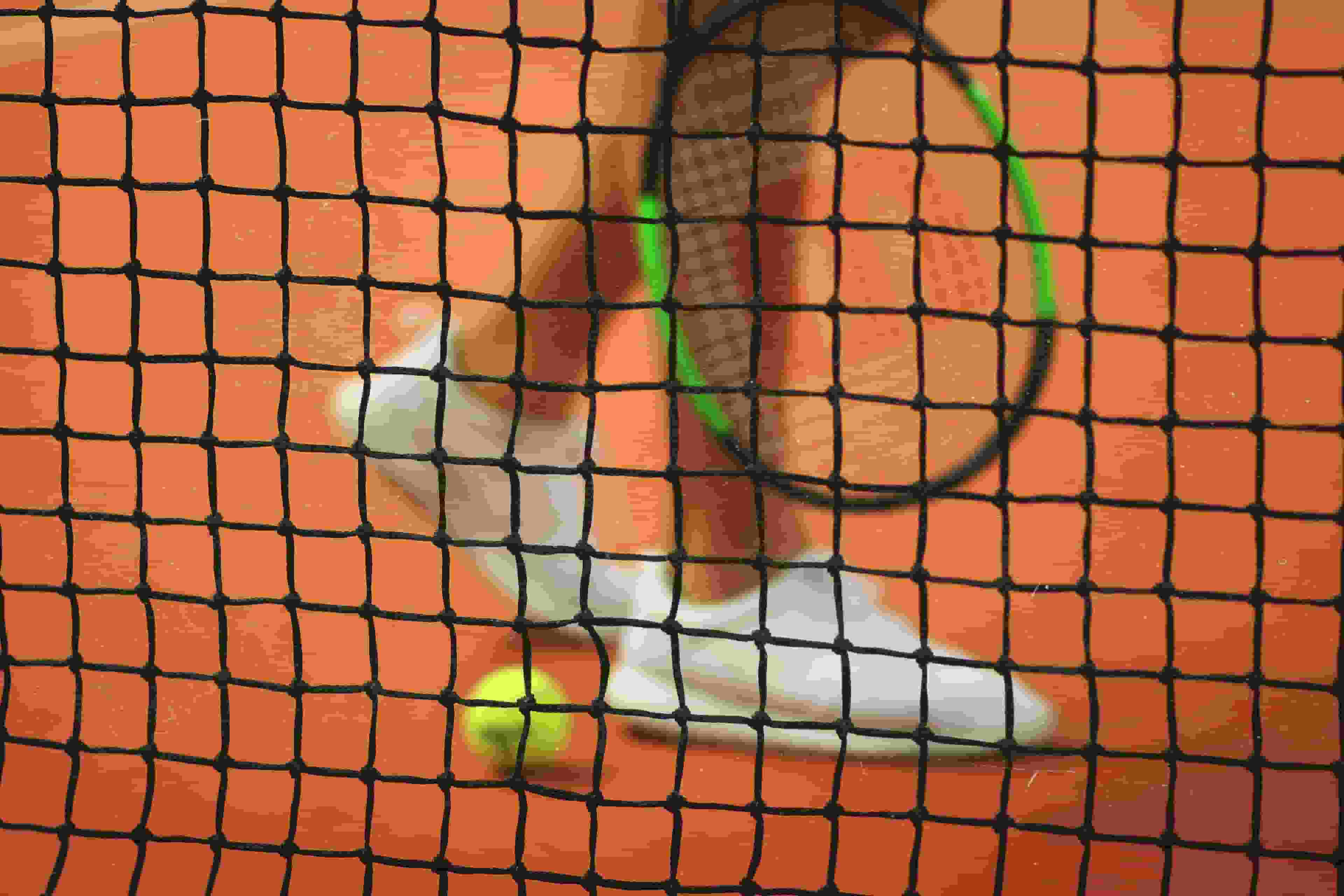 Thumbnail for Carlos Alcaraz