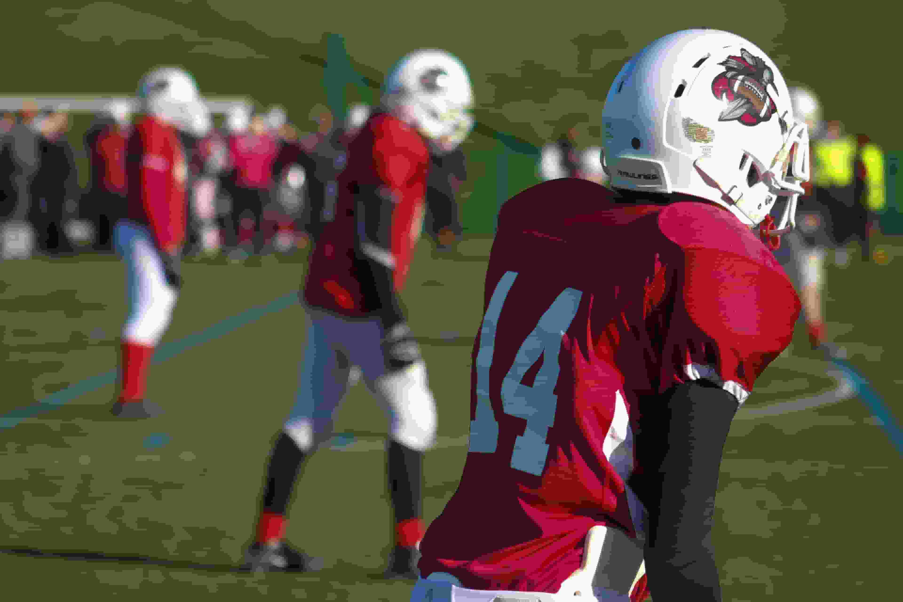 Thumbnail for Florida Atlantic Owls Football
