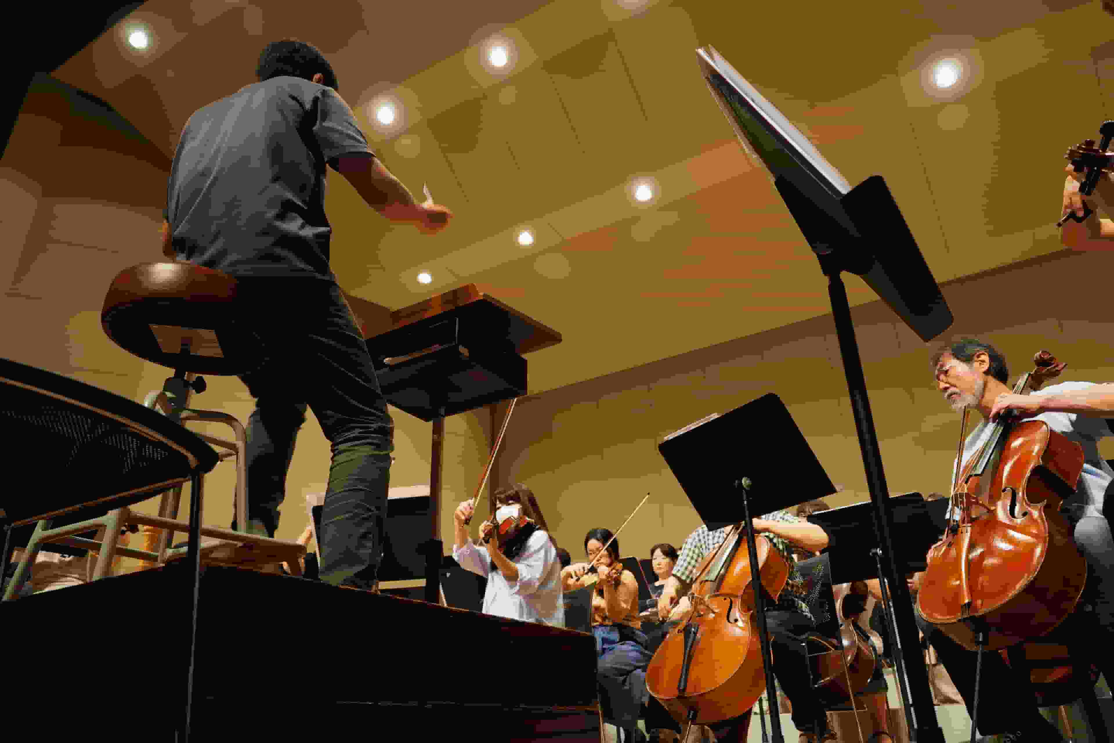 Thumbnail for Grand Rapids Symphony Orchestra