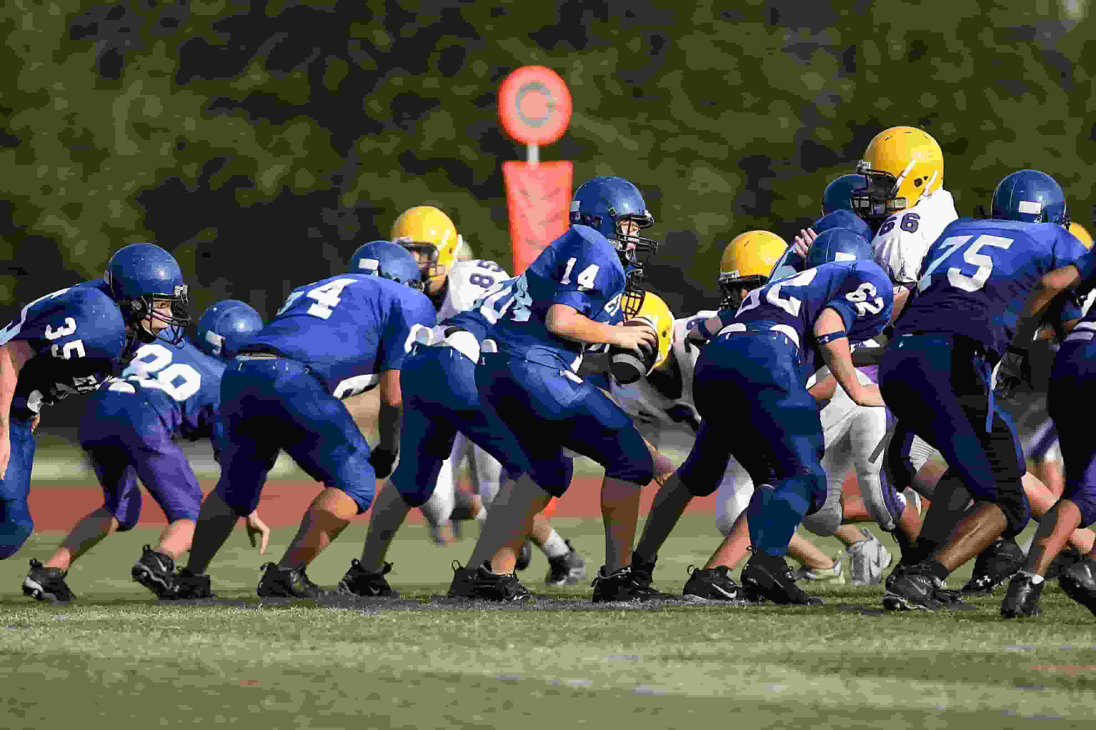 Thumbnail for South Dakota State Jackrabbits Football