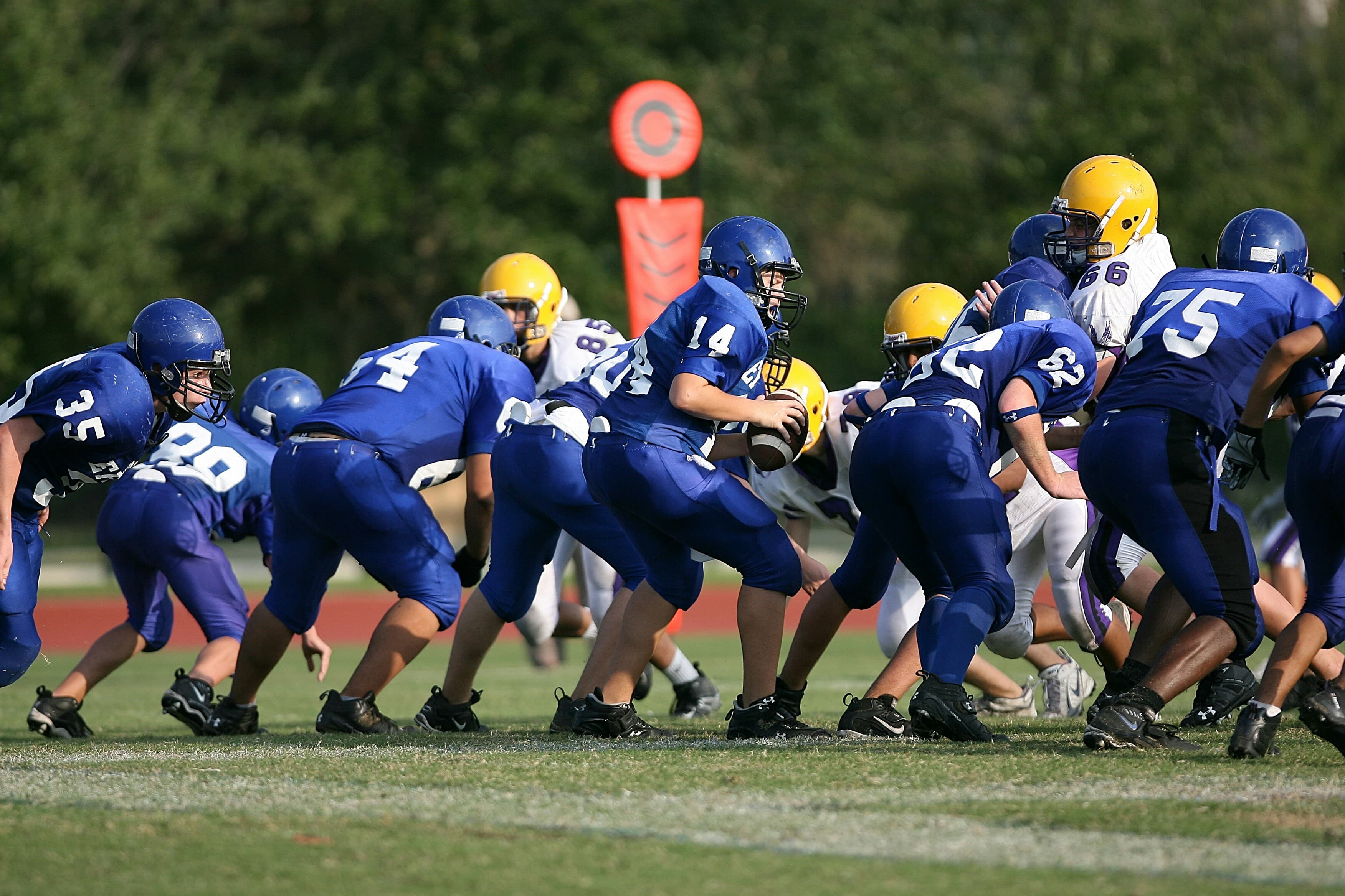 Thumbnail for South Dakota State Jackrabbits Football