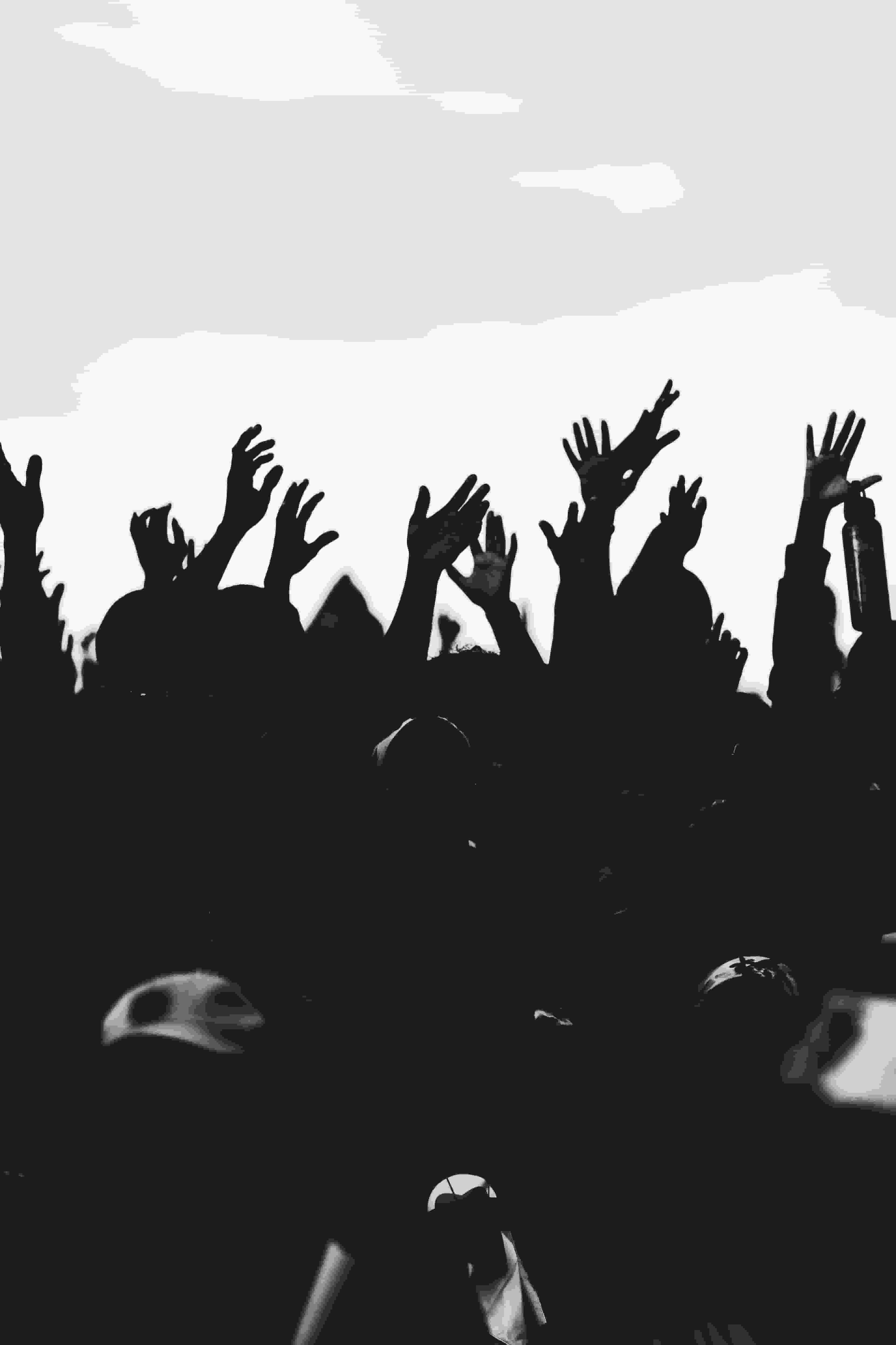 Thumbnail for The Fever 333