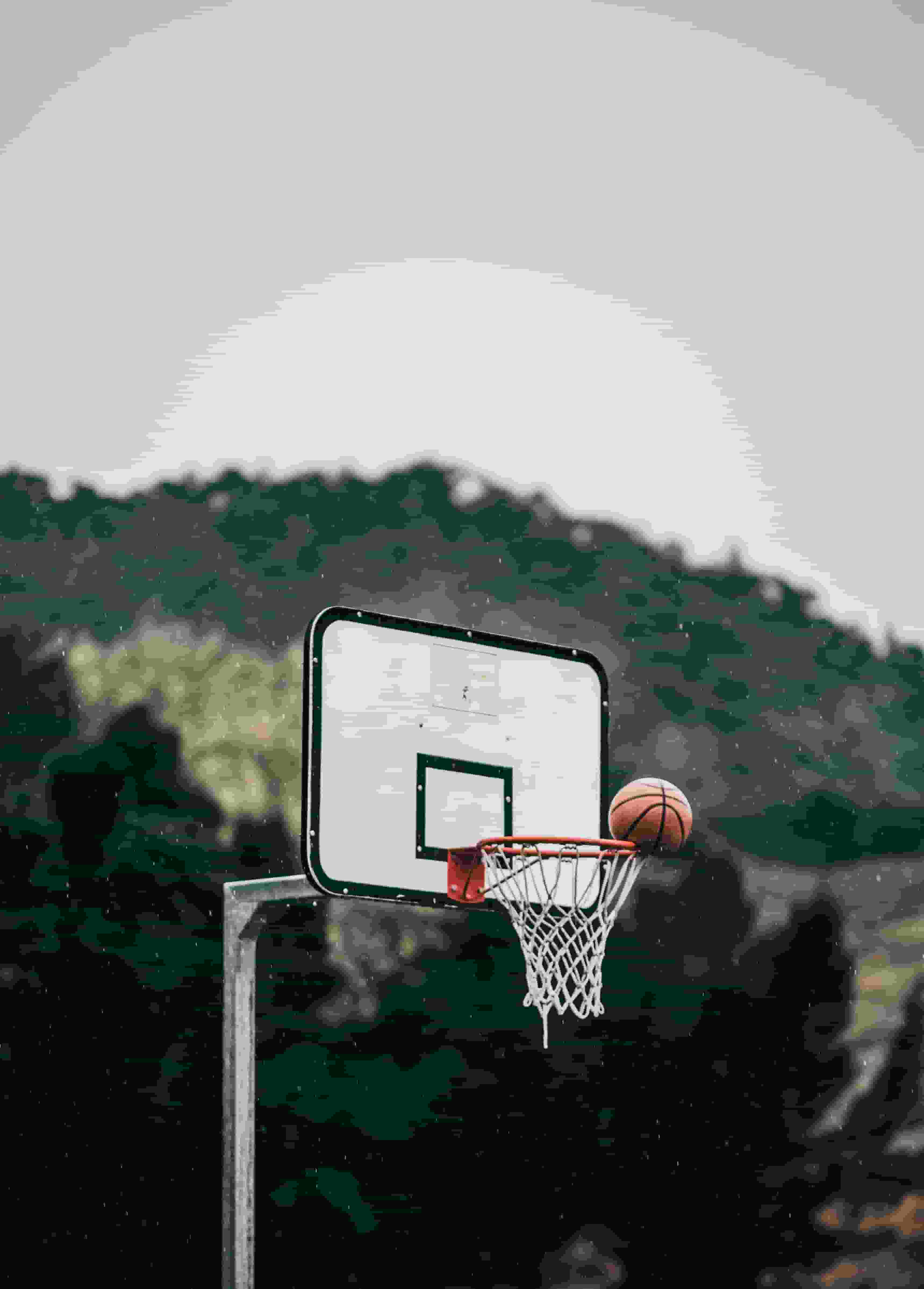 Thumbnail for Georgia Tech Yellow Jackets Women's Basketball