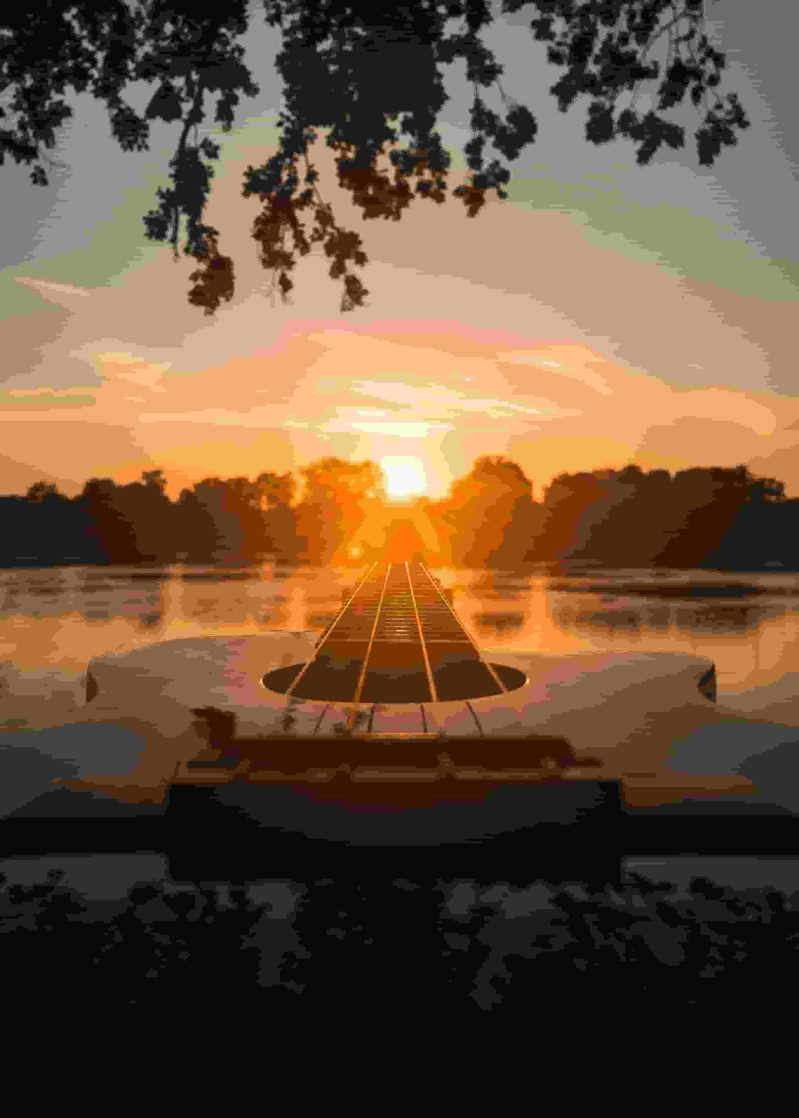 Thumbnail for Jake Shimabukuro