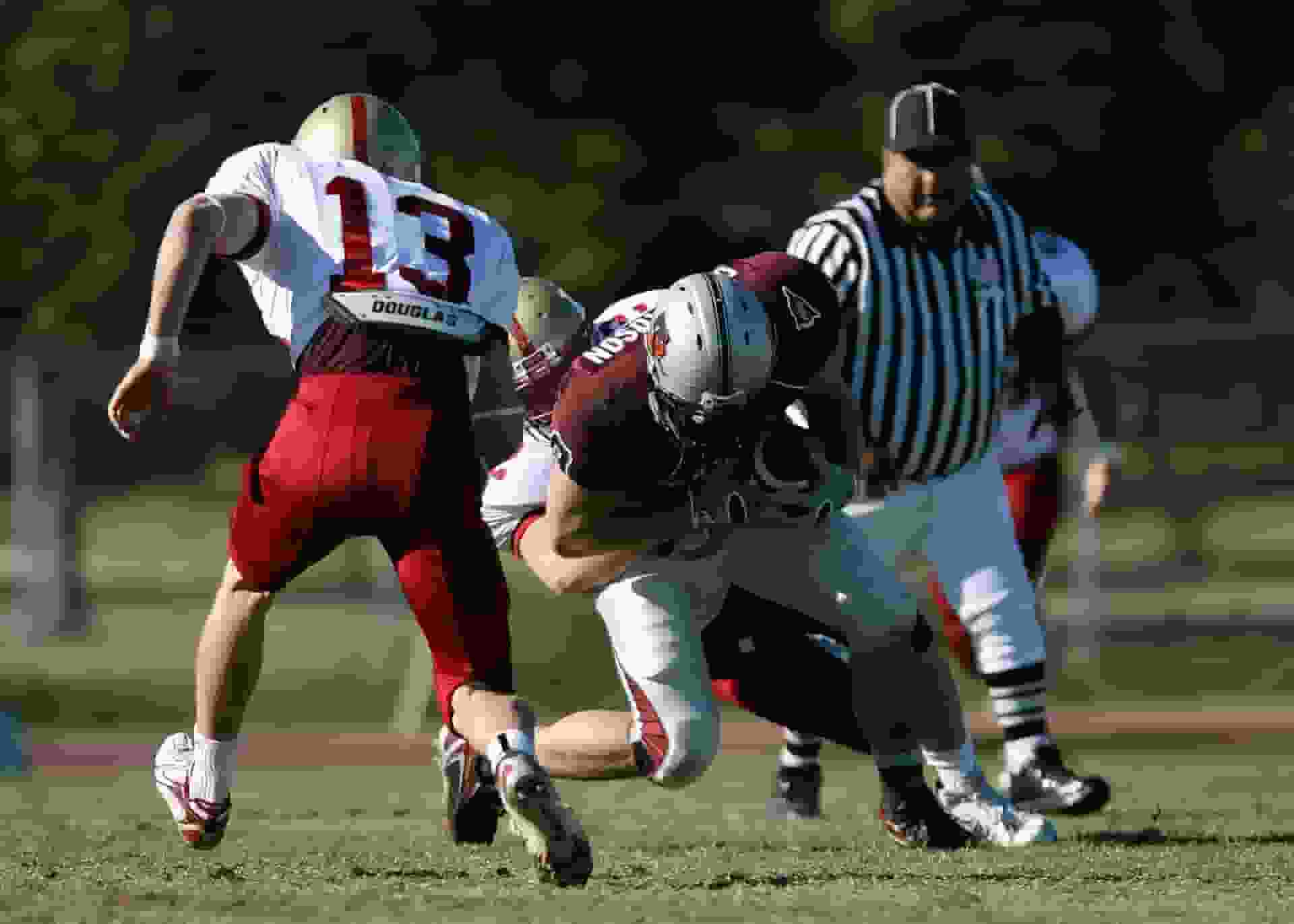 Thumbnail for Minnesota Golden Gophers Football