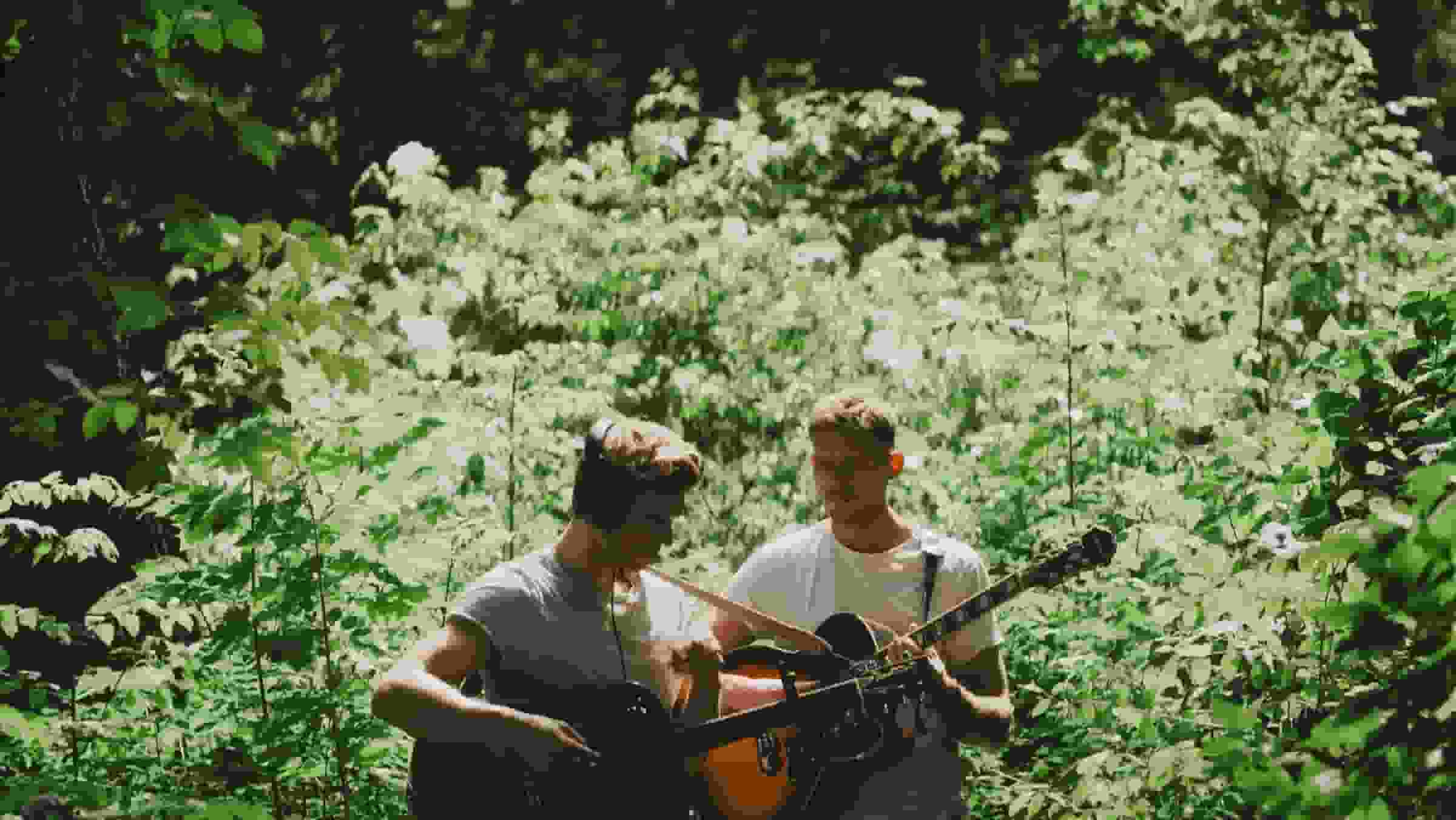 Thumbnail for Mountain Grass Unit