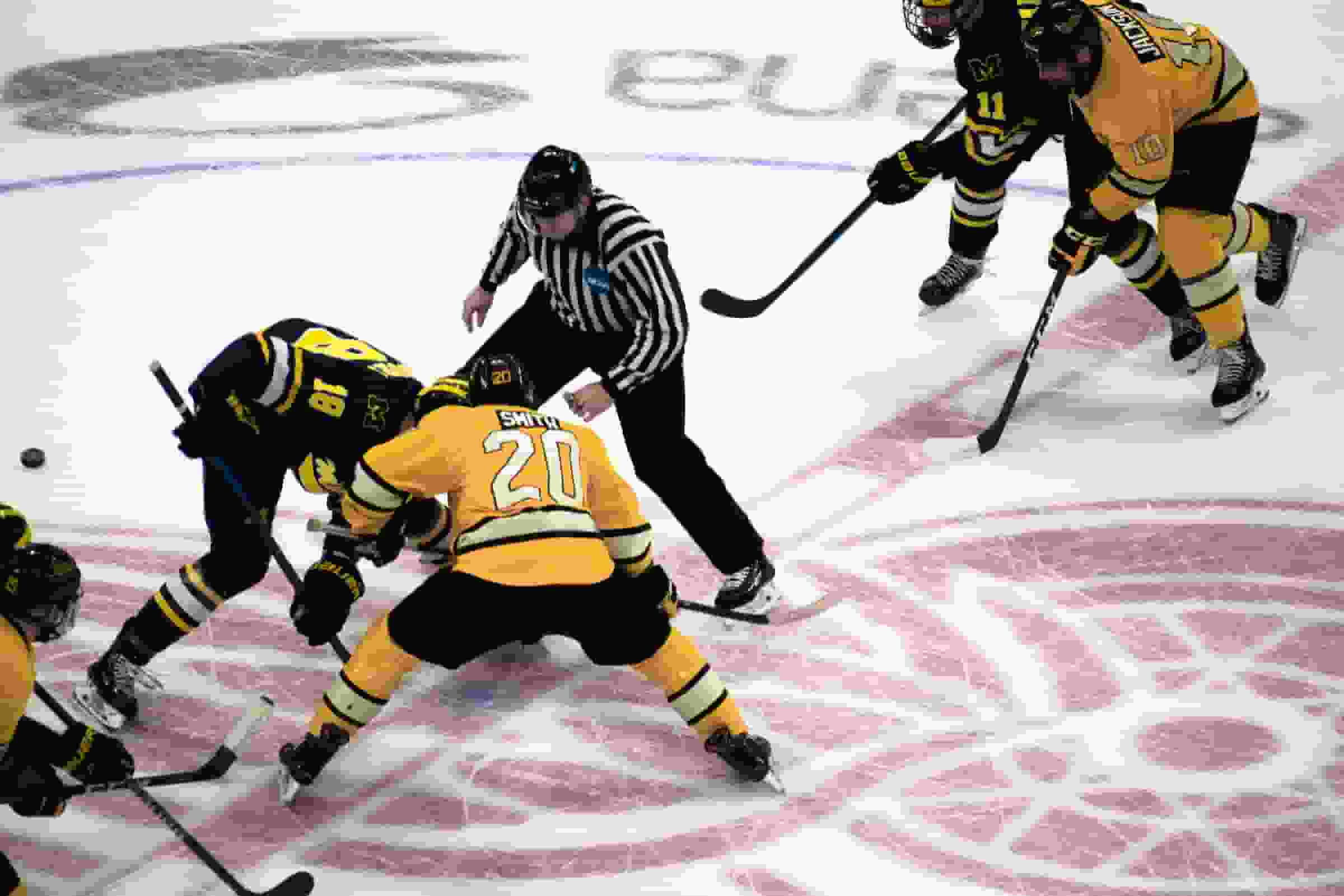 Thumbnail for Nashville Predators