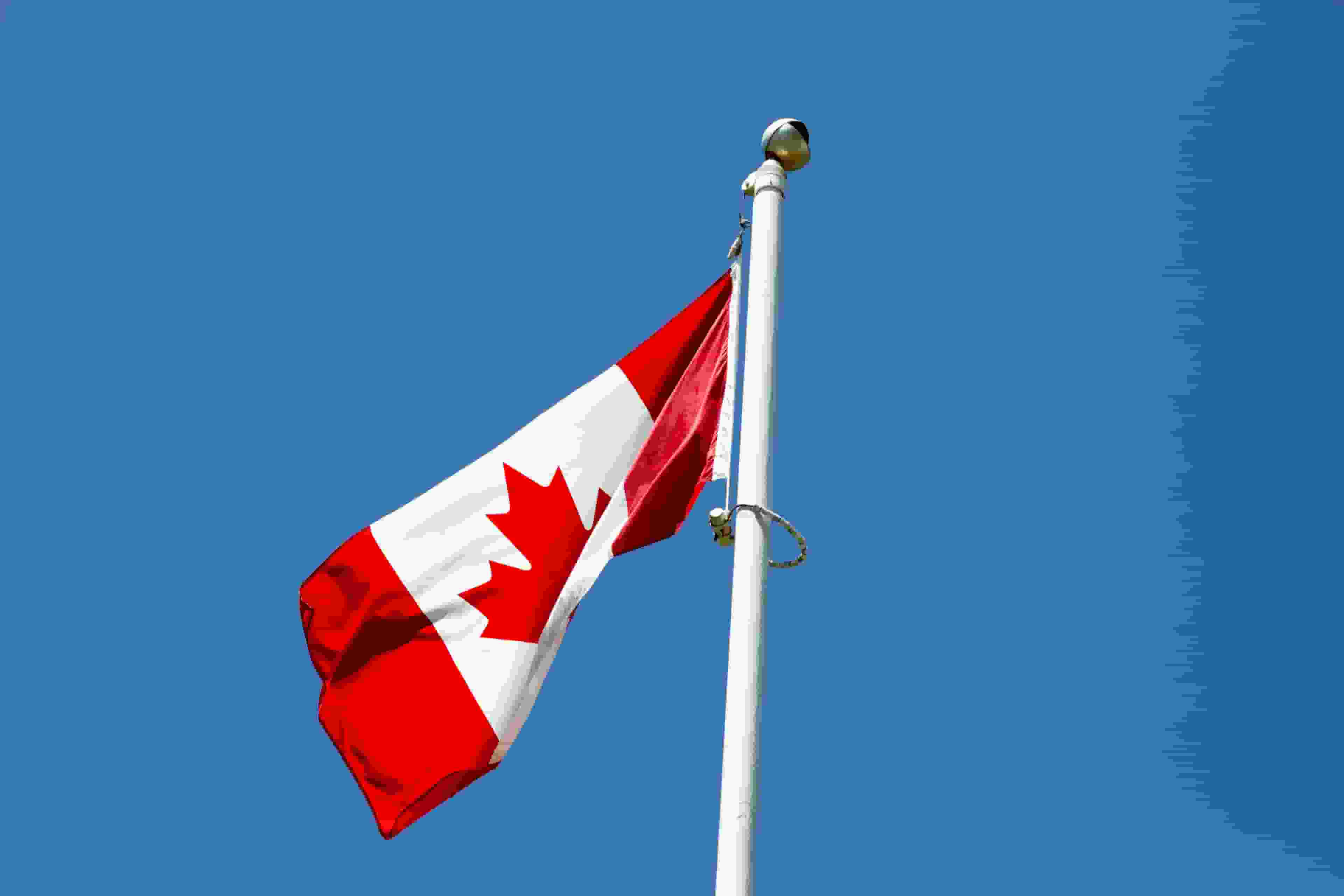 Thumbnail for Canada National Soccer Team